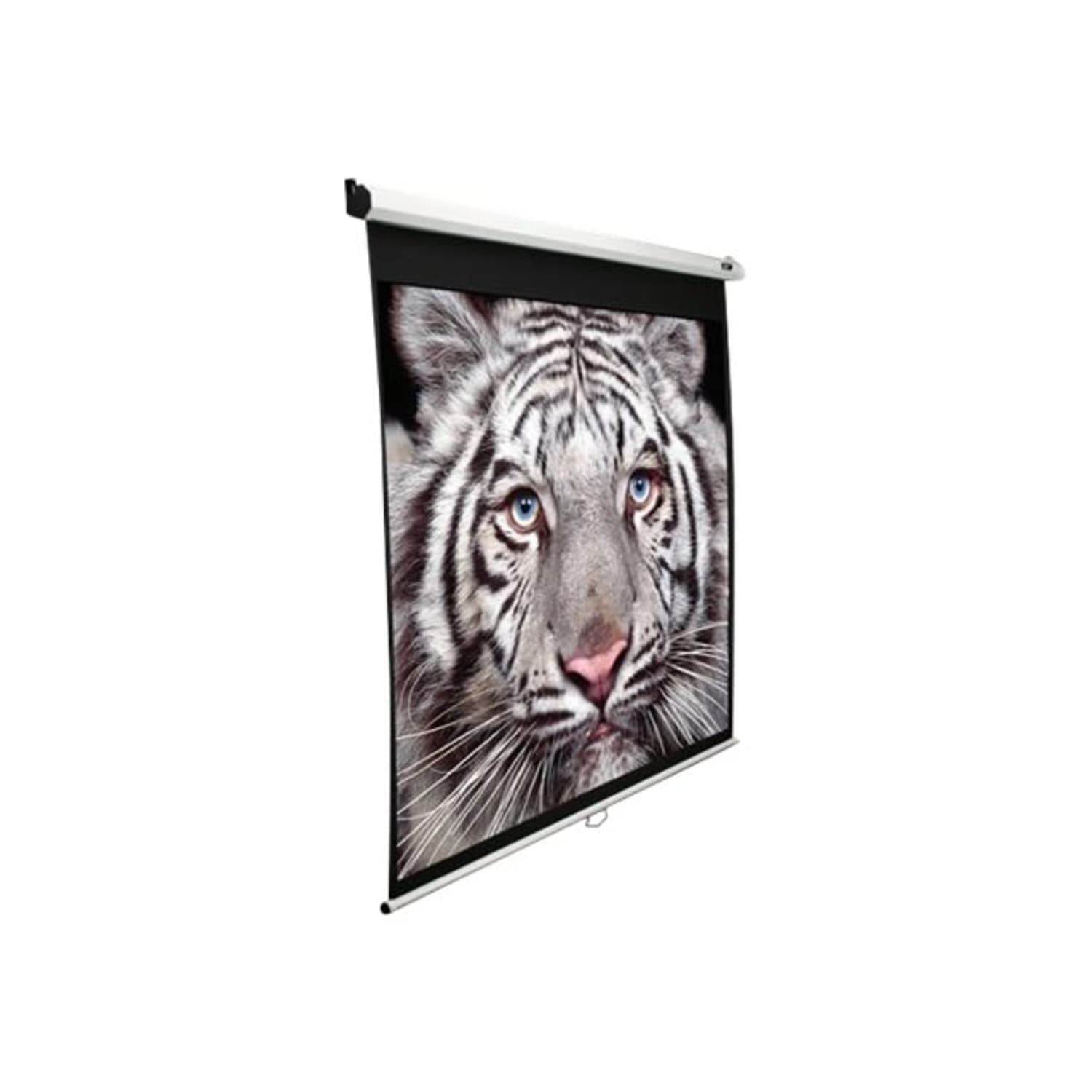 Elite Screens Manual Series, M120XWH2E24 - Image 3