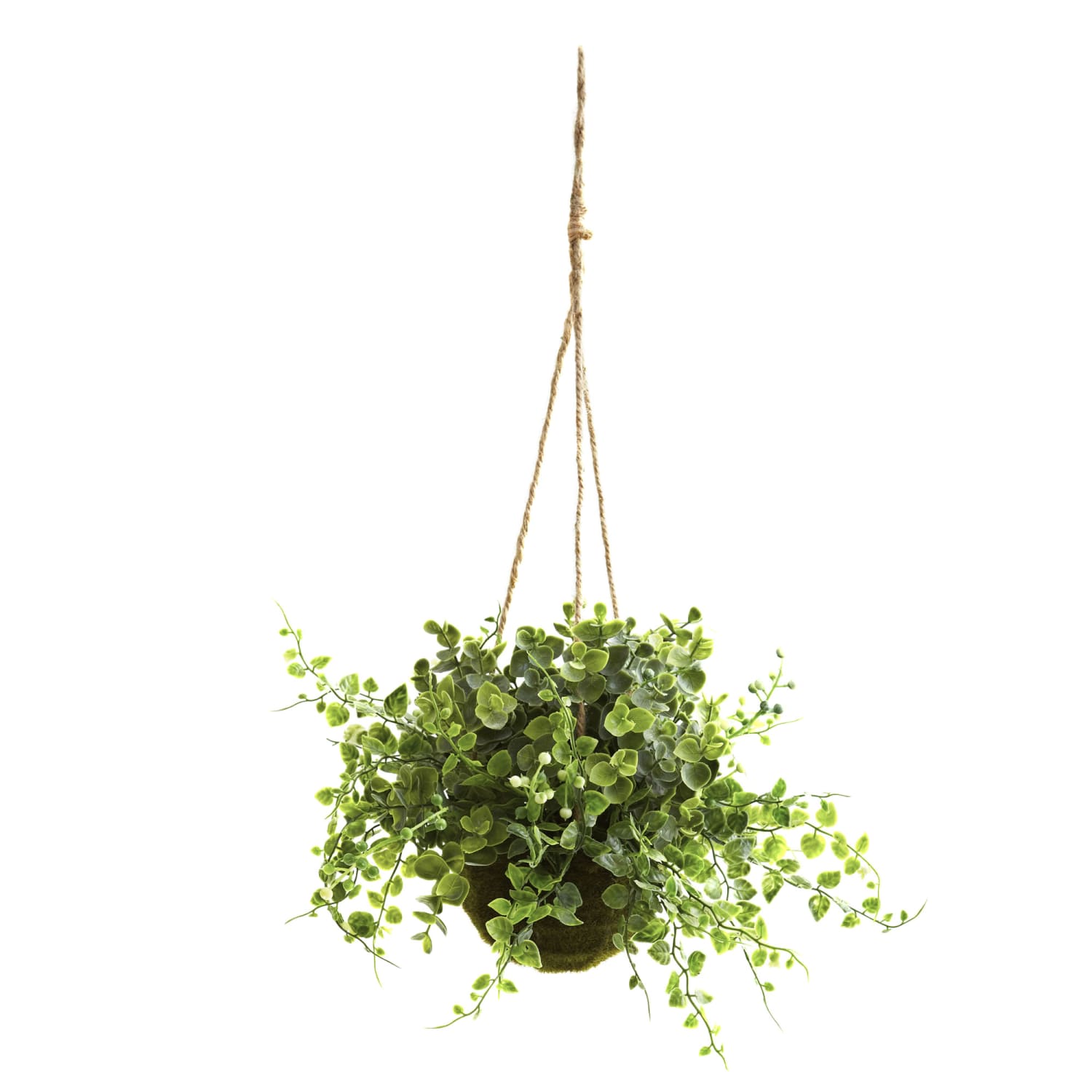 Nearly Natural Eucalyptus, Maiden Hair & Berry Artificial 9inH Plants With Hanging Baskets, 9inH x 12inW x 12inD, Green, Set Of 3 - Image 3