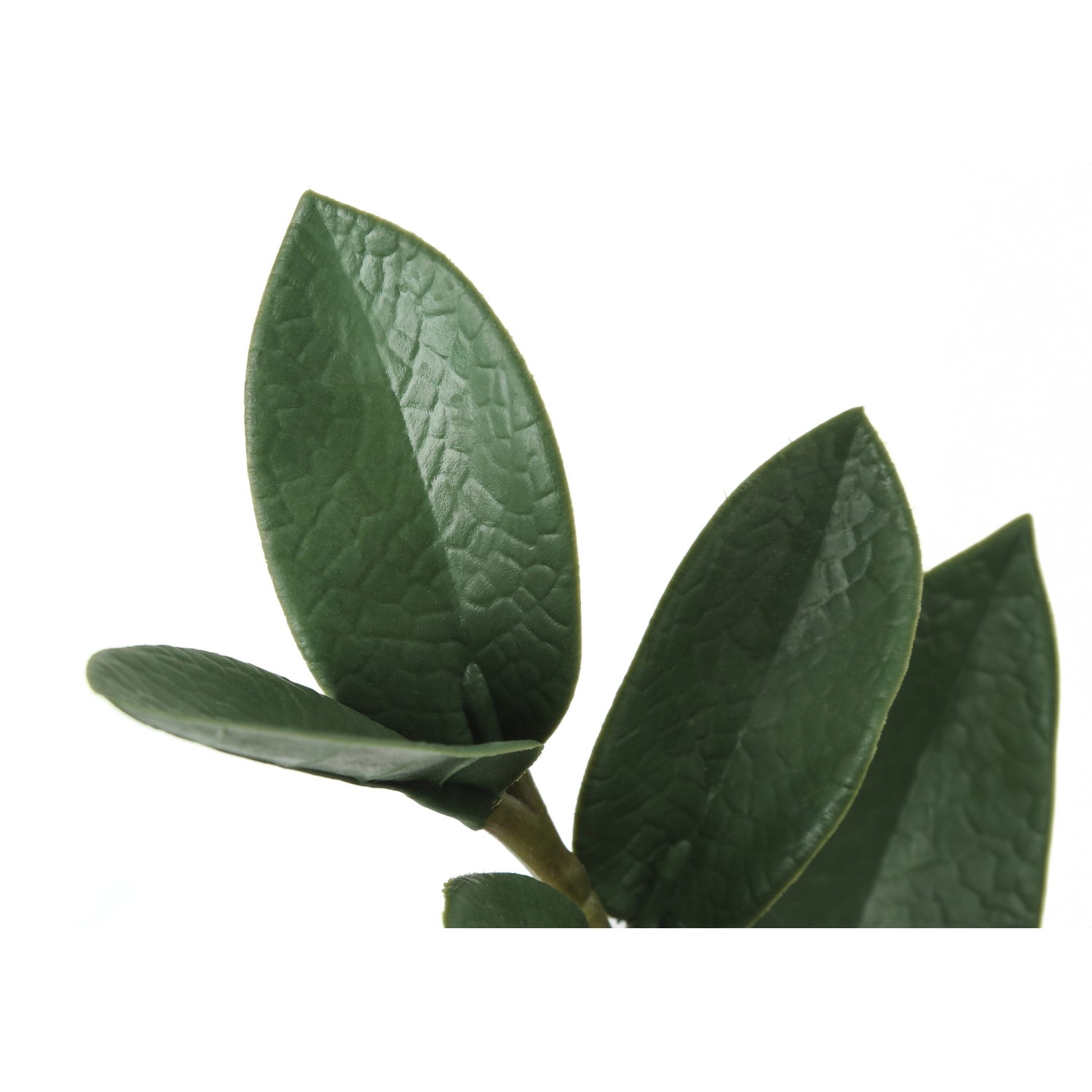 Monarch Specialties Iza 29inH Artificial Plant With Pot, 29inH x 17inW x 16inD, Green - Image 5