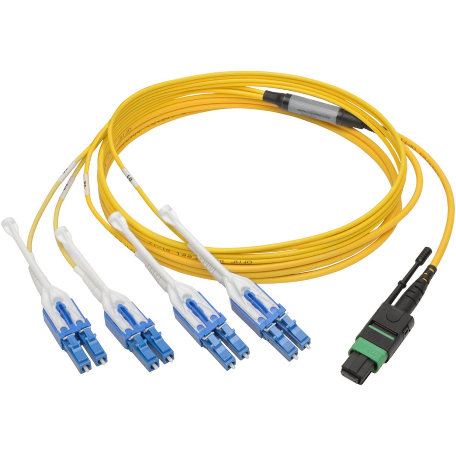Eaton Tripp Lite Series MTP/MPO (APC) to 4xLC (UPC) Singlemode Breakout Patch Cable, 40/100 GbE, QSFP+ 40GBAS - N39003M8LCAP - Image 4