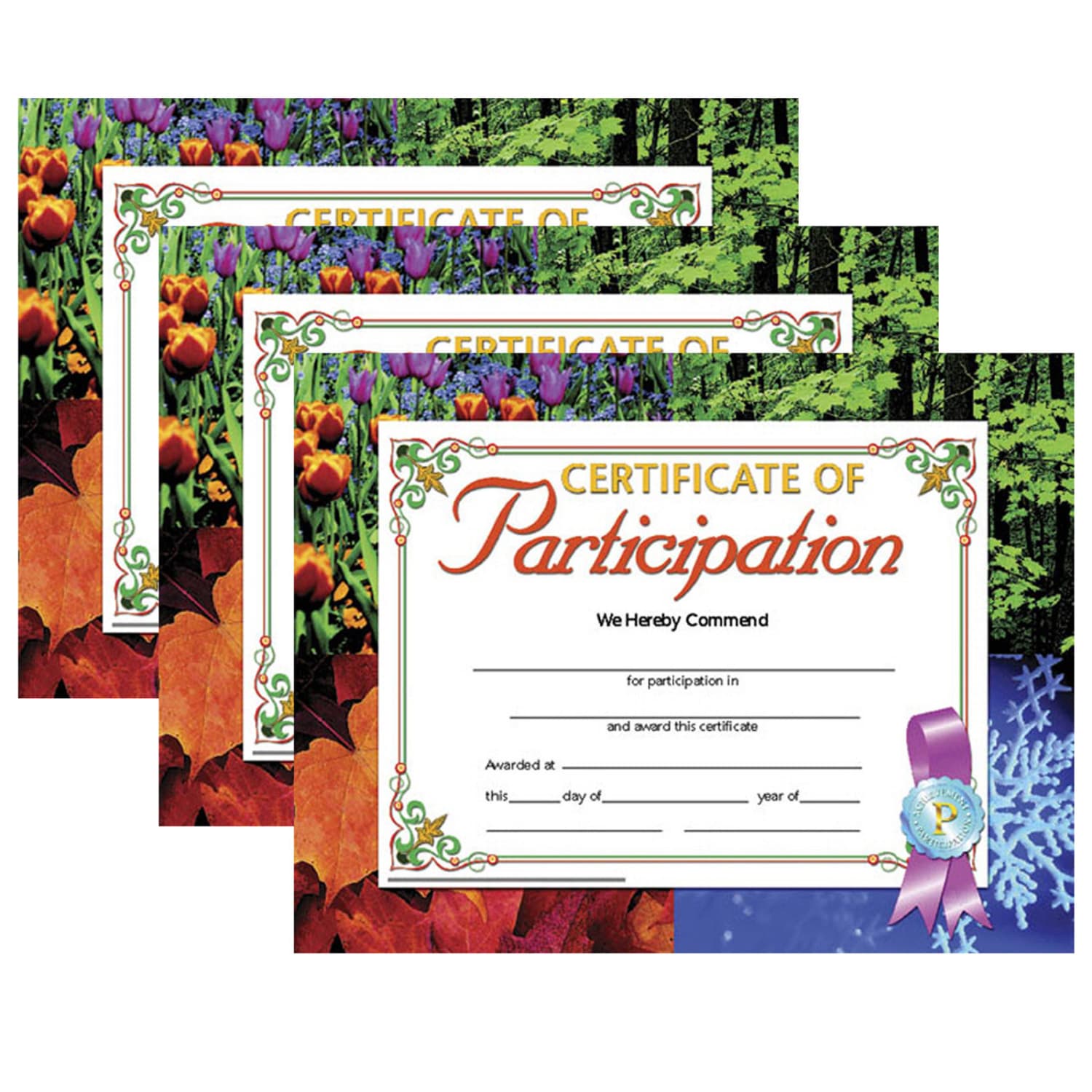 Hayes Publishing Certificate Of Participation, 8.5in x 11in, 30 Per Pack, Set Of 3 Packs