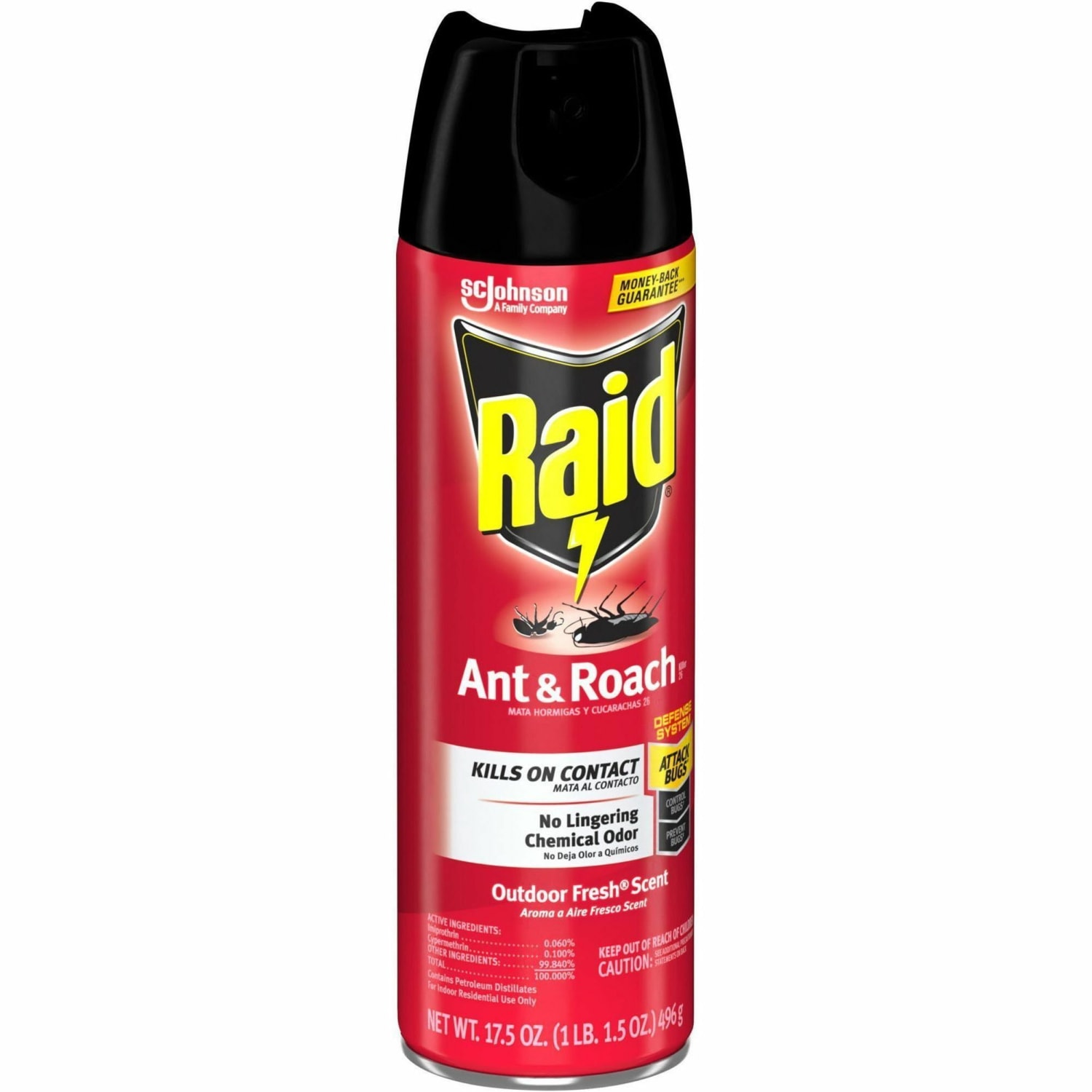 Raid Ant & Roach Killer Spray - 366000CT - Image 6