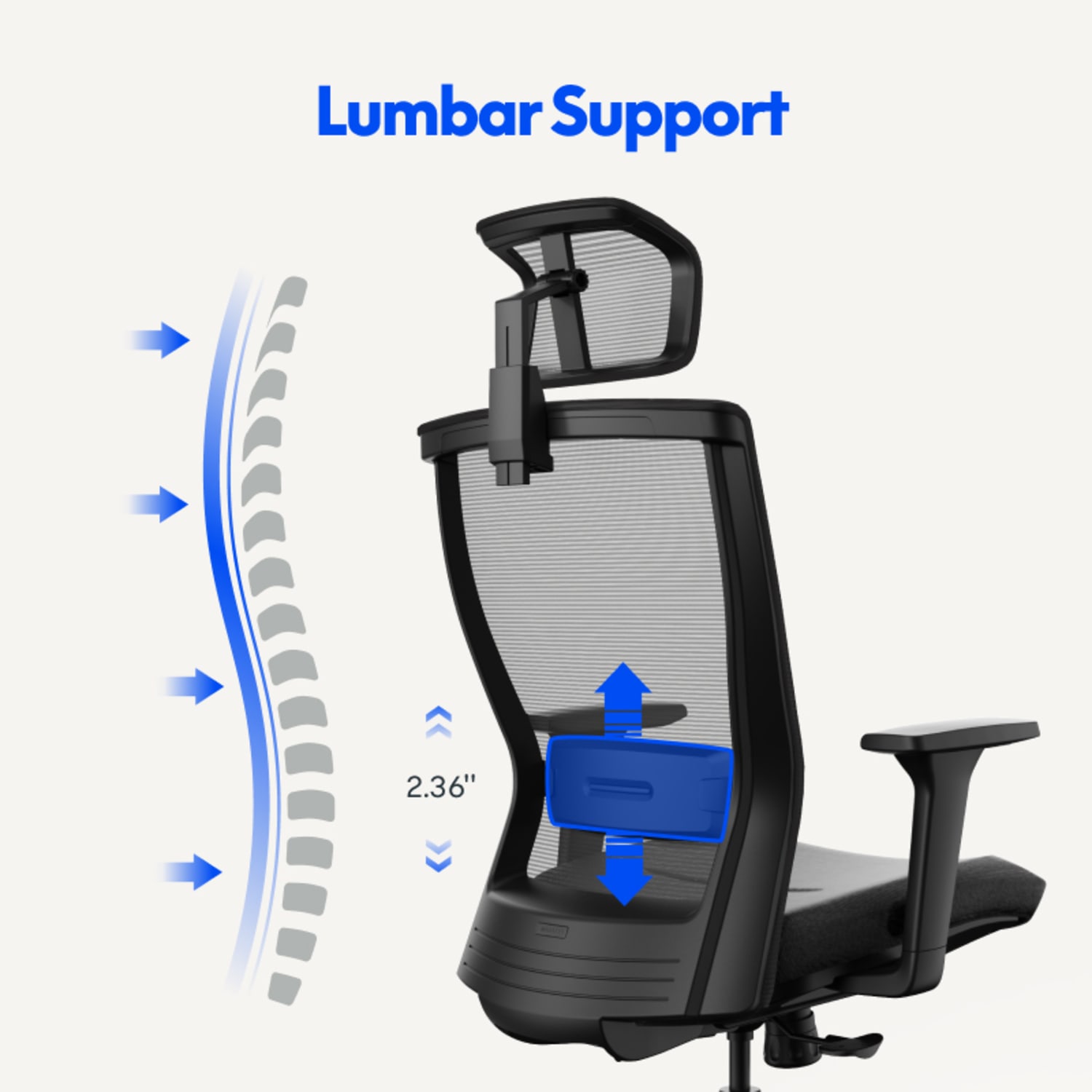 FlexiSpot C4B Ergonomic Mesh HighBack Office Chair Black PopularChairscom FlexiSpot C4B Ergonomic Mesh High Back Office Chair Black PopularChairscom