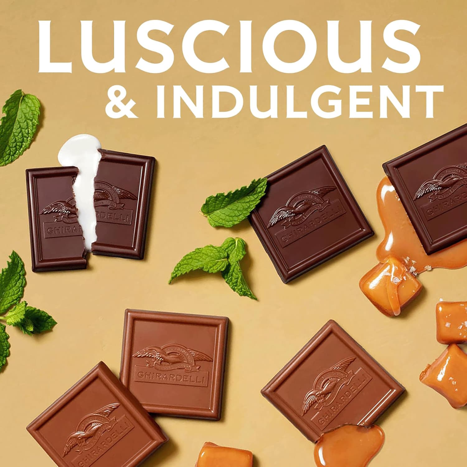 Ghirardelli Premium Chocolate Squares Assortment, 5.3 Oz, Total Qty 6 - Image 6
