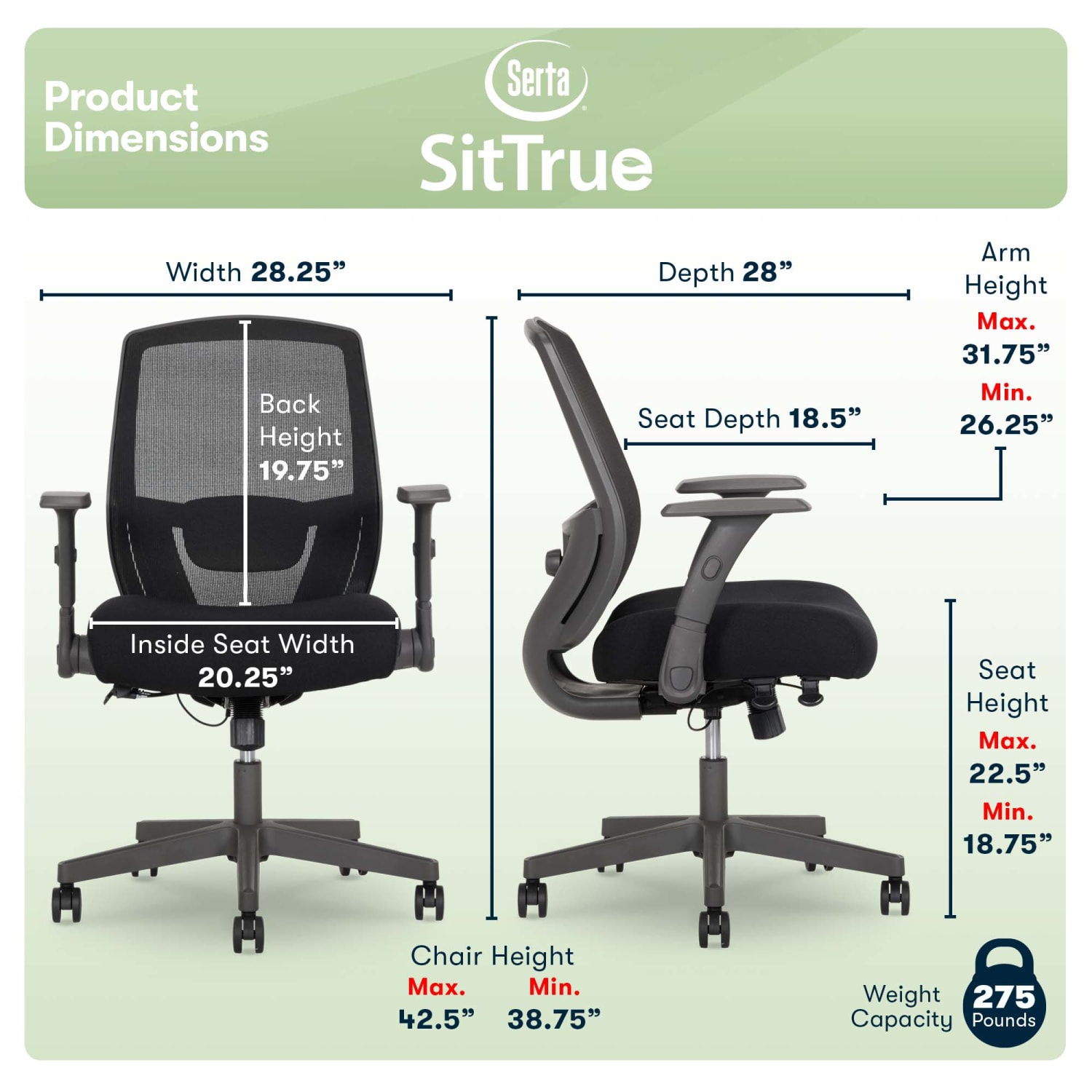 Serta SitTrue Rayne Ergonomic MeshFabric Mid Back Task Chair Black PopularChairscom