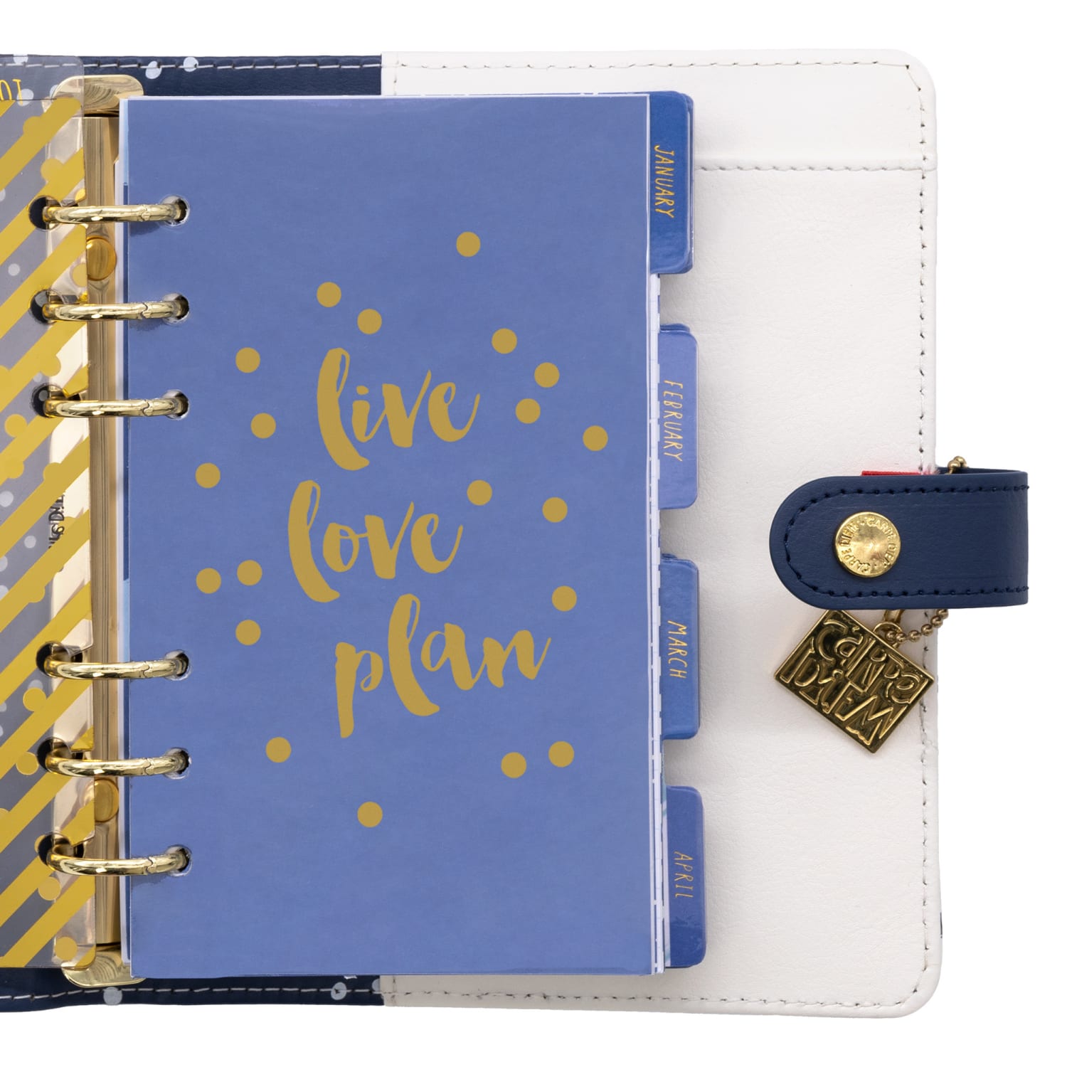 Pukka Pads Personal Planner, Monthly & Weekly, 7.48in x 6.42in, 12 Months, Color Wash - Image 4