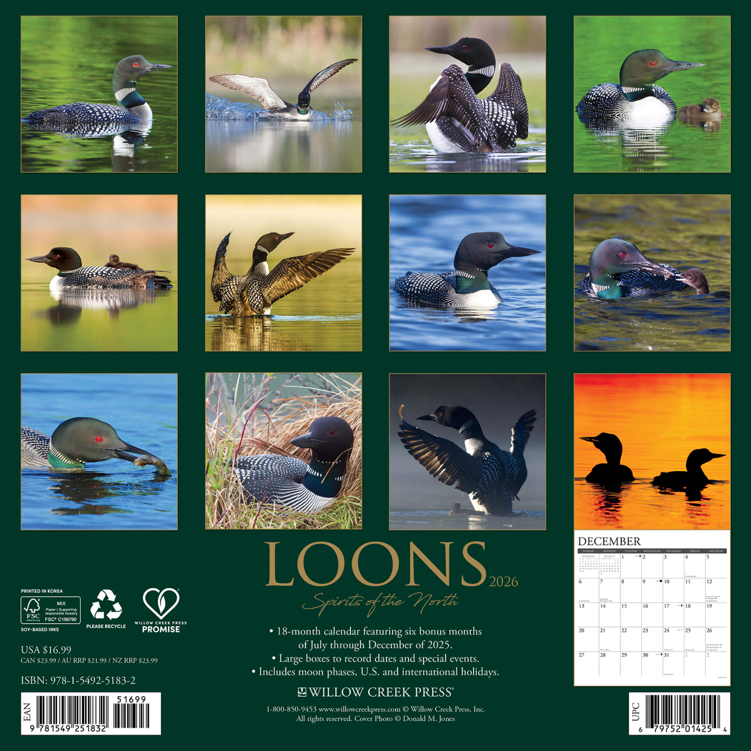 2026 Willow Creek Press Animals Monthly Wall Calendar, 12in x 12in, Loons, January To December, 51832 - Image 6
