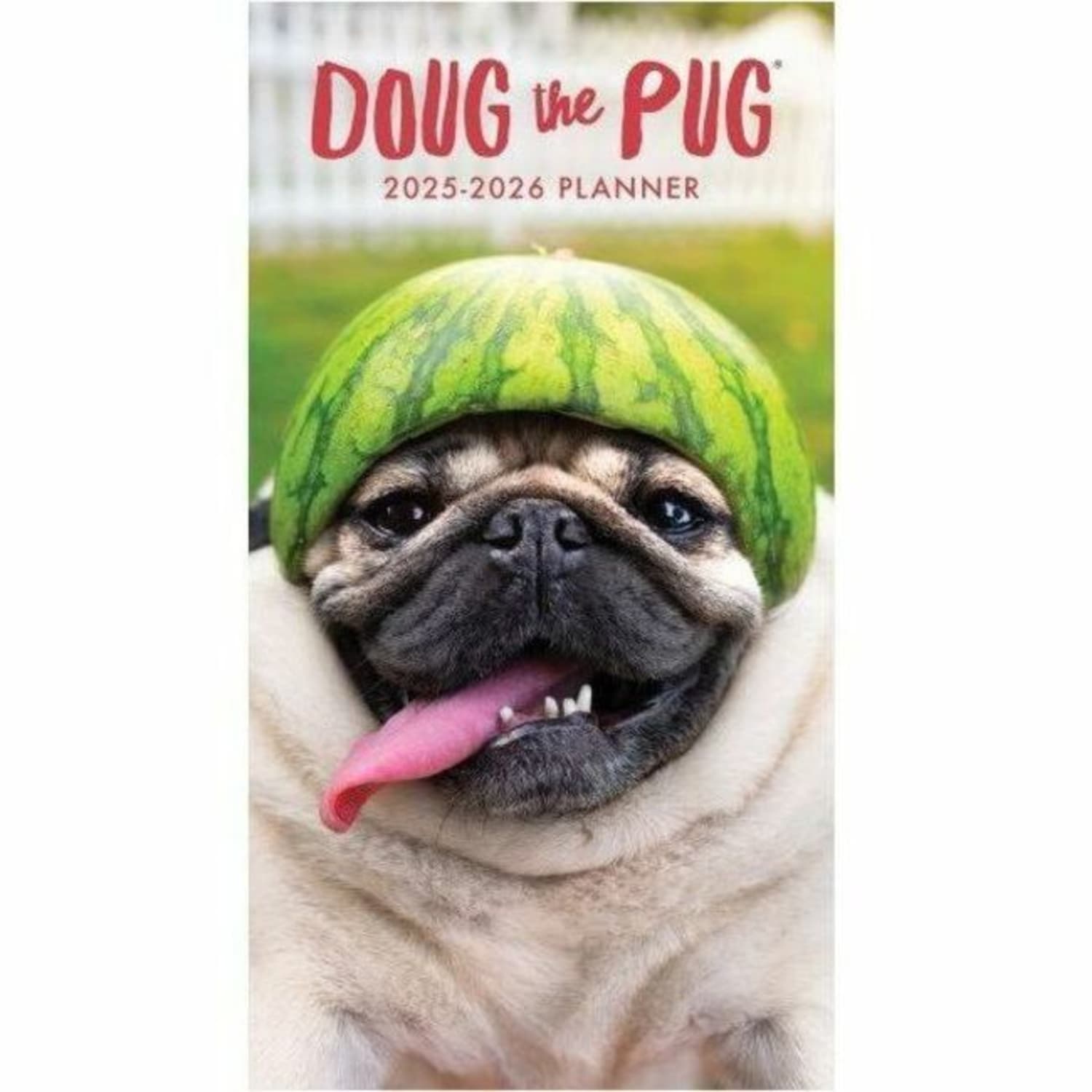 2025 Willow Creek Press 2-Year Monthly Checkbook/Calendar, 3-1/2in x 6-1/2, Doug The Pug, January 2025 To December 2026, 46968 - Image 6