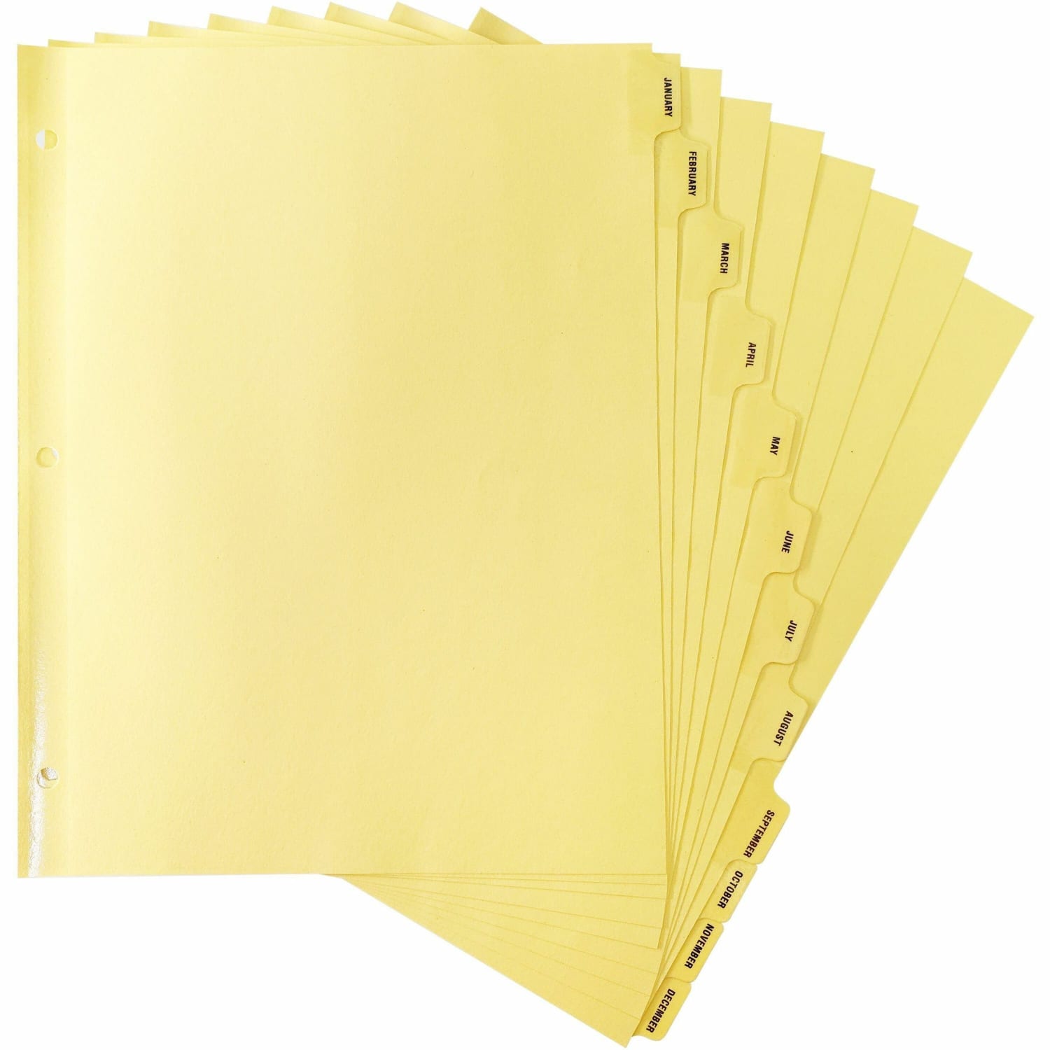 Sparco Monthly Clear Plastic Index Dividers, 8 1/2in x 11in, January-December, Buff - Image 3