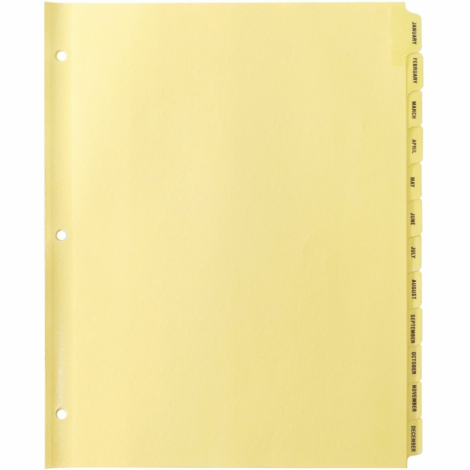 Sparco Monthly Clear Plastic Index Dividers, 8 1/2in x 11in, January-December, Buff - Image 4