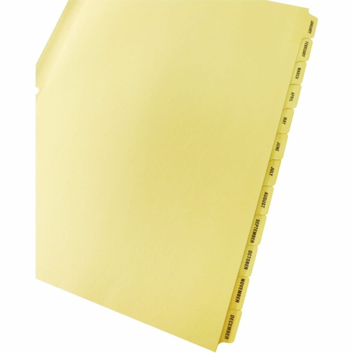 Sparco Monthly Clear Plastic Index Dividers, 8 1/2in x 11in, January-December, Buff - Image 6