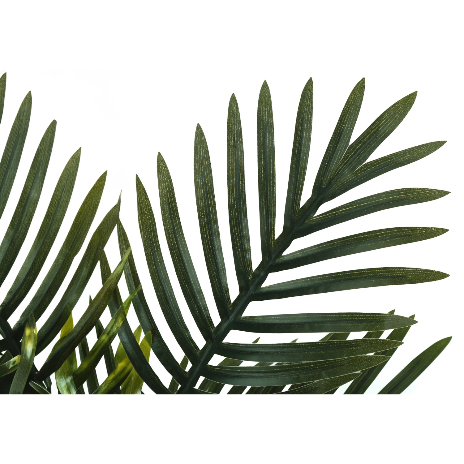Monarch Specialties Niamh 20inH Artificial Plant With Pot, 20inH x 23inW x 21inD, Green - Image 5