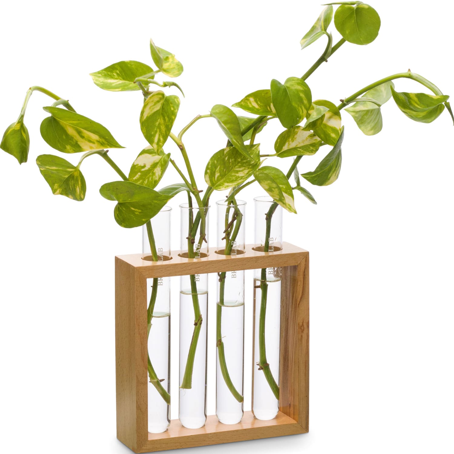 Supertek Square Plant Holder, Clear/Brown - Image 3