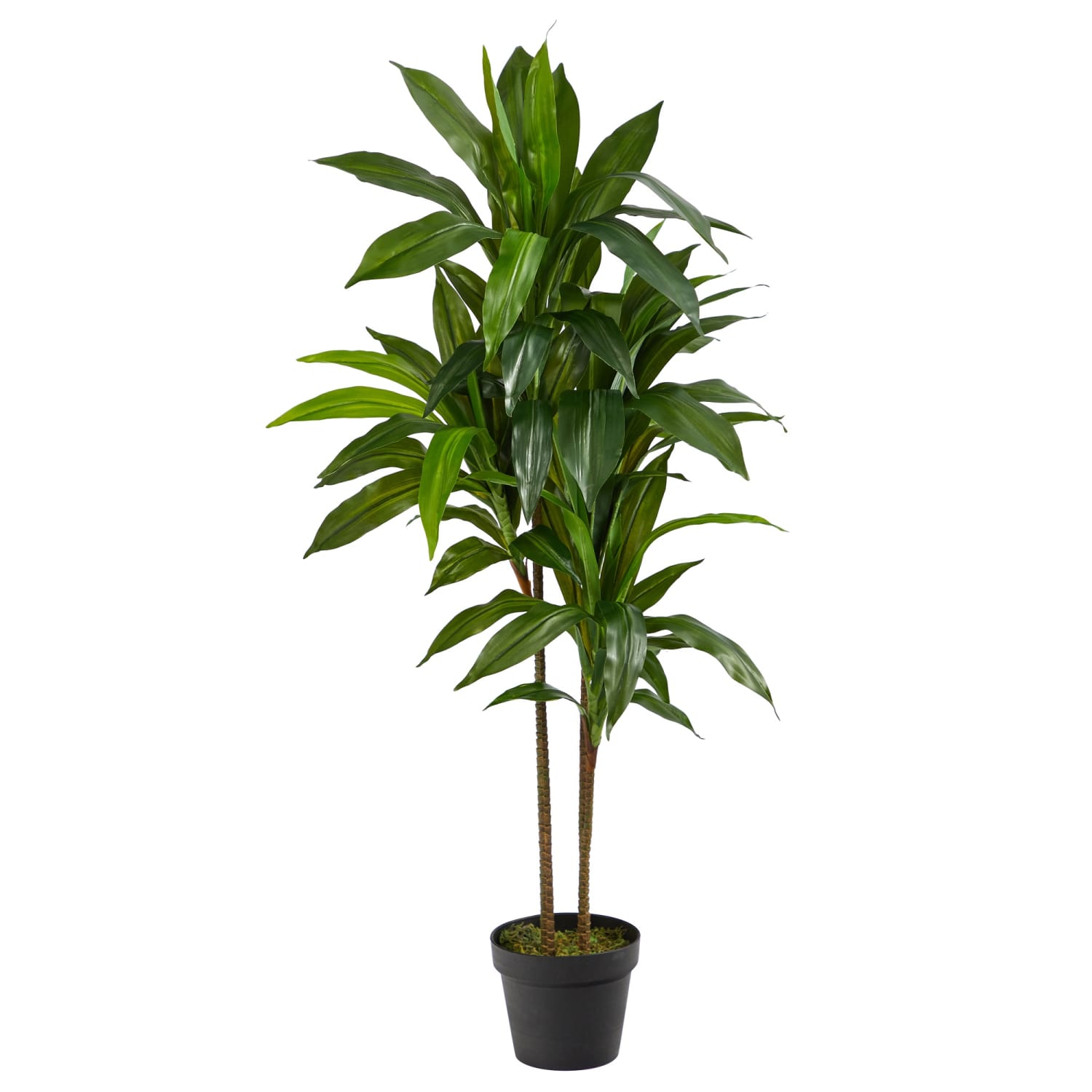 Nearly Natural 48in. "Real Touch" Artificial Dracaena Plant with Pot