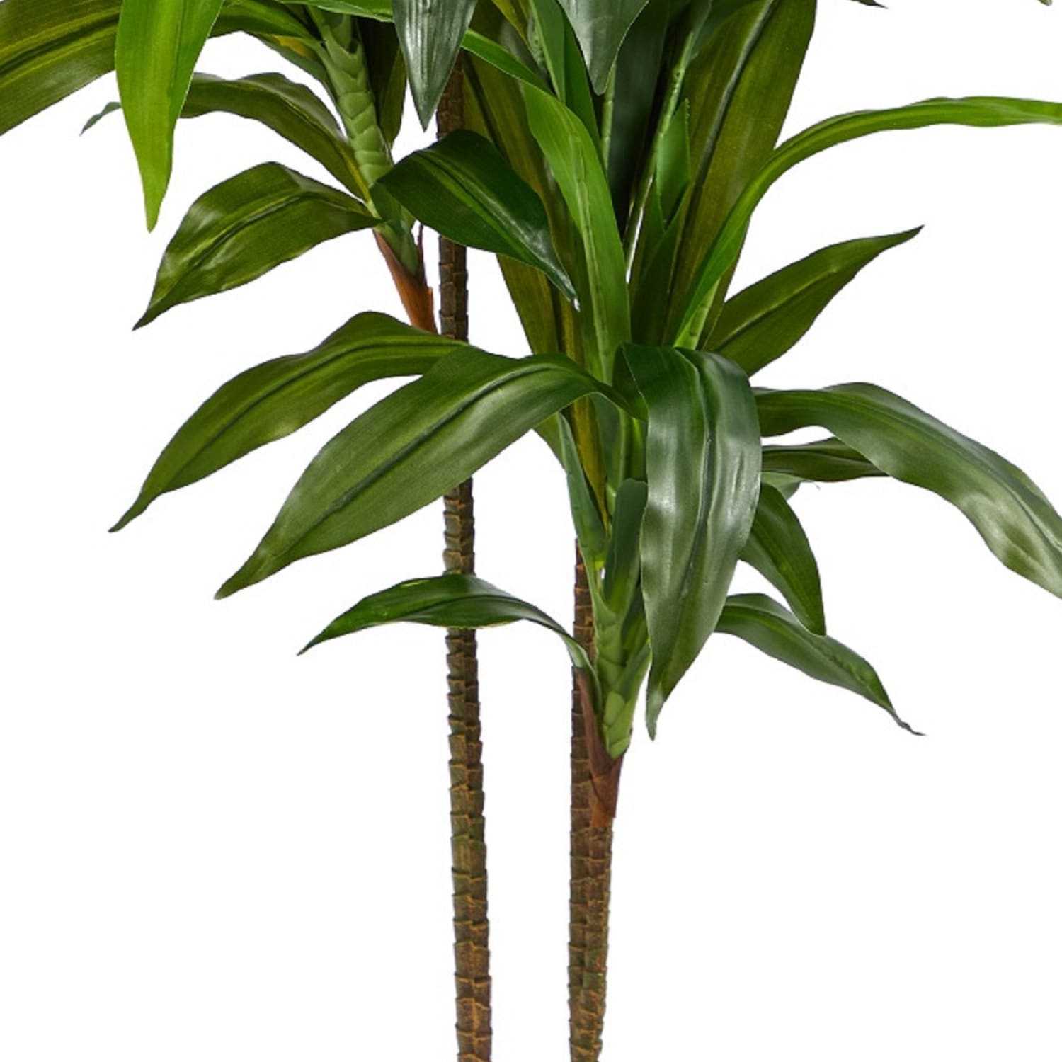 Nearly Natural 48in. "Real Touch" Artificial Dracaena Plant with Pot - Image 4