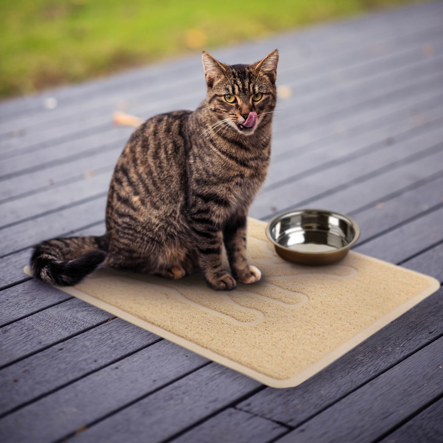 Gibson Everyday Pet Elements Cat Silhouette Placemat, 13-13/16in x 18-1/2in, Tan - Image 3