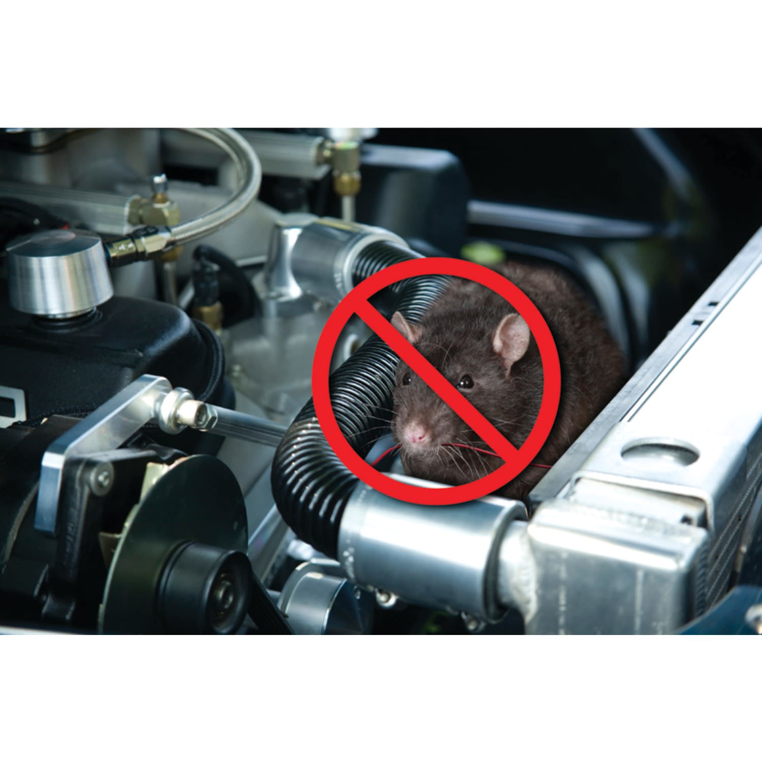 P3 International Underhood Animal Chaser - Image 5