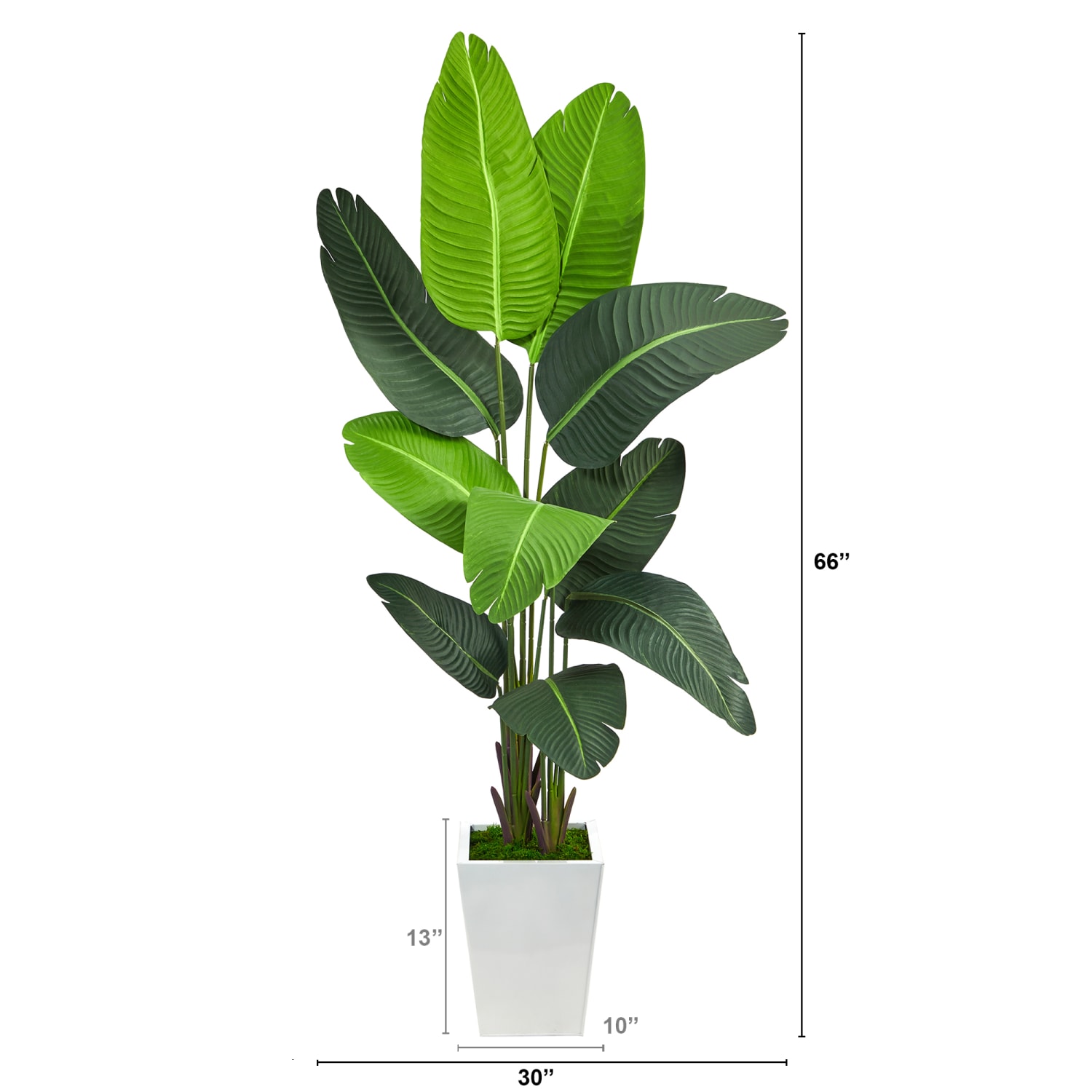 Nearly Natural Traveler's Palm 66inH Artificial Plant With Metal Planter, 66inH x 30inW x 25inD, Green/White - Image 3