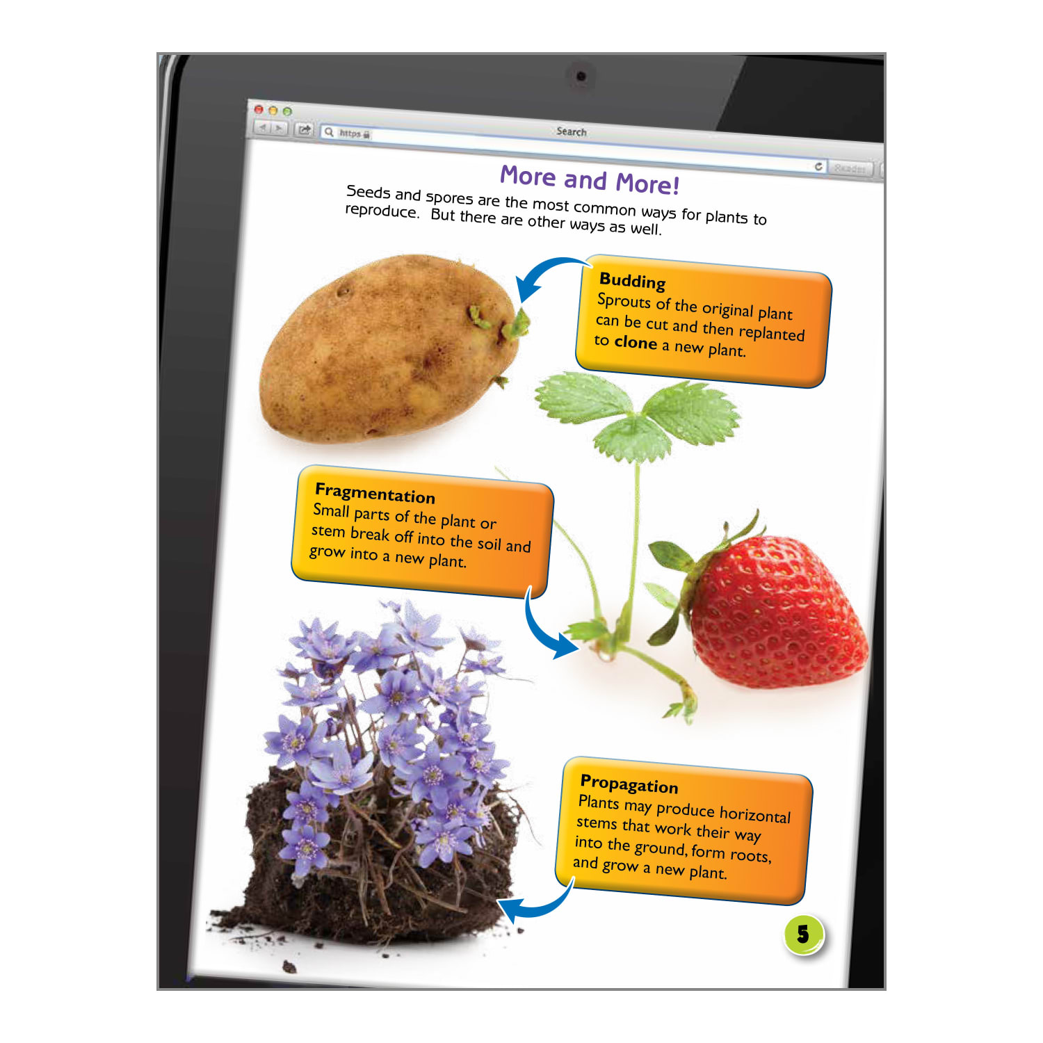 Teacher Created Materials Life Science 5-Book Set, Grade 4 - Image 5