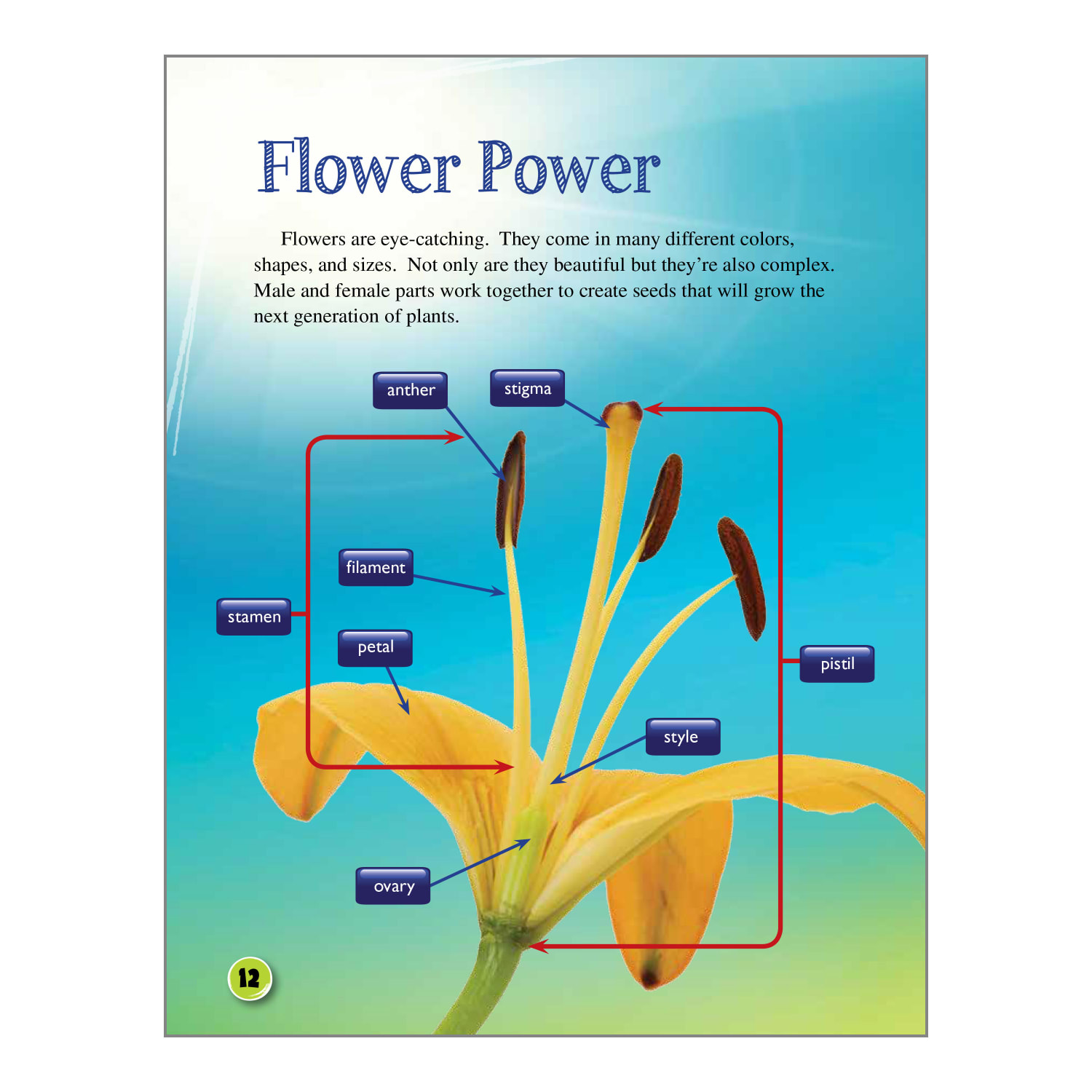 Teacher Created Materials Life Science 5-Book Set, Grade 4 - Image 6