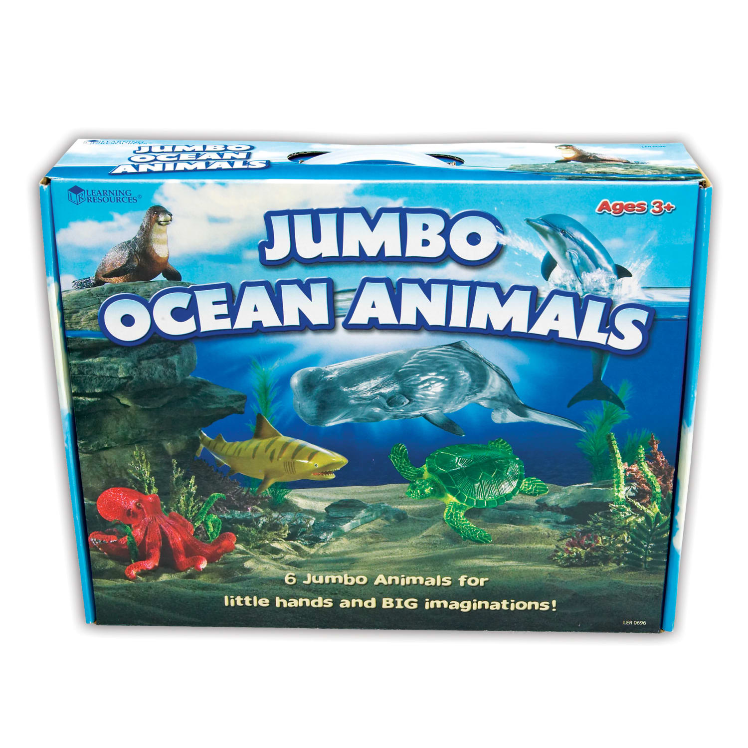 Ocean Animals