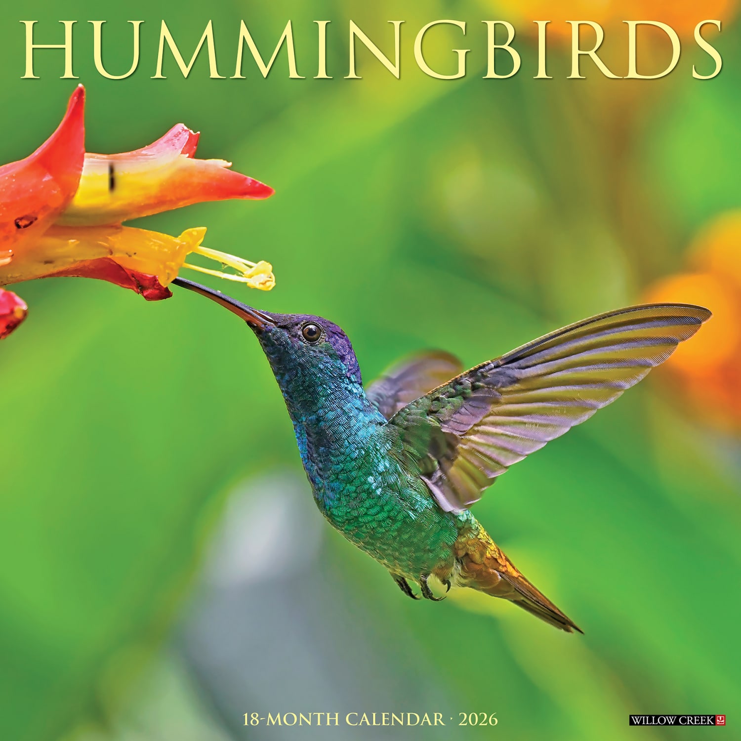 2026 Willow Creek Press Animals Monthly Wall Calendar, 12in x 12in, Hummingbirds, January To December, 51528