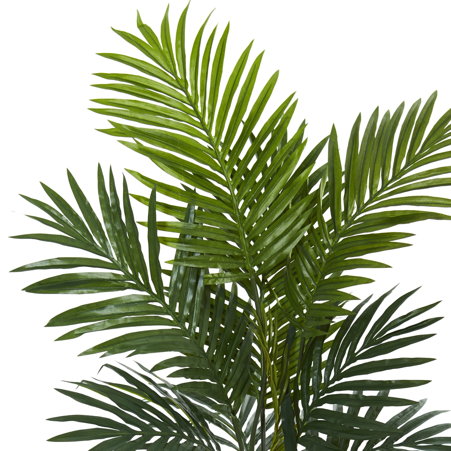 Nearly Natural Kentia Palm 54inH Artificial Tree With Planter, 54inH x 32inW x 32inD, Green - Image 3