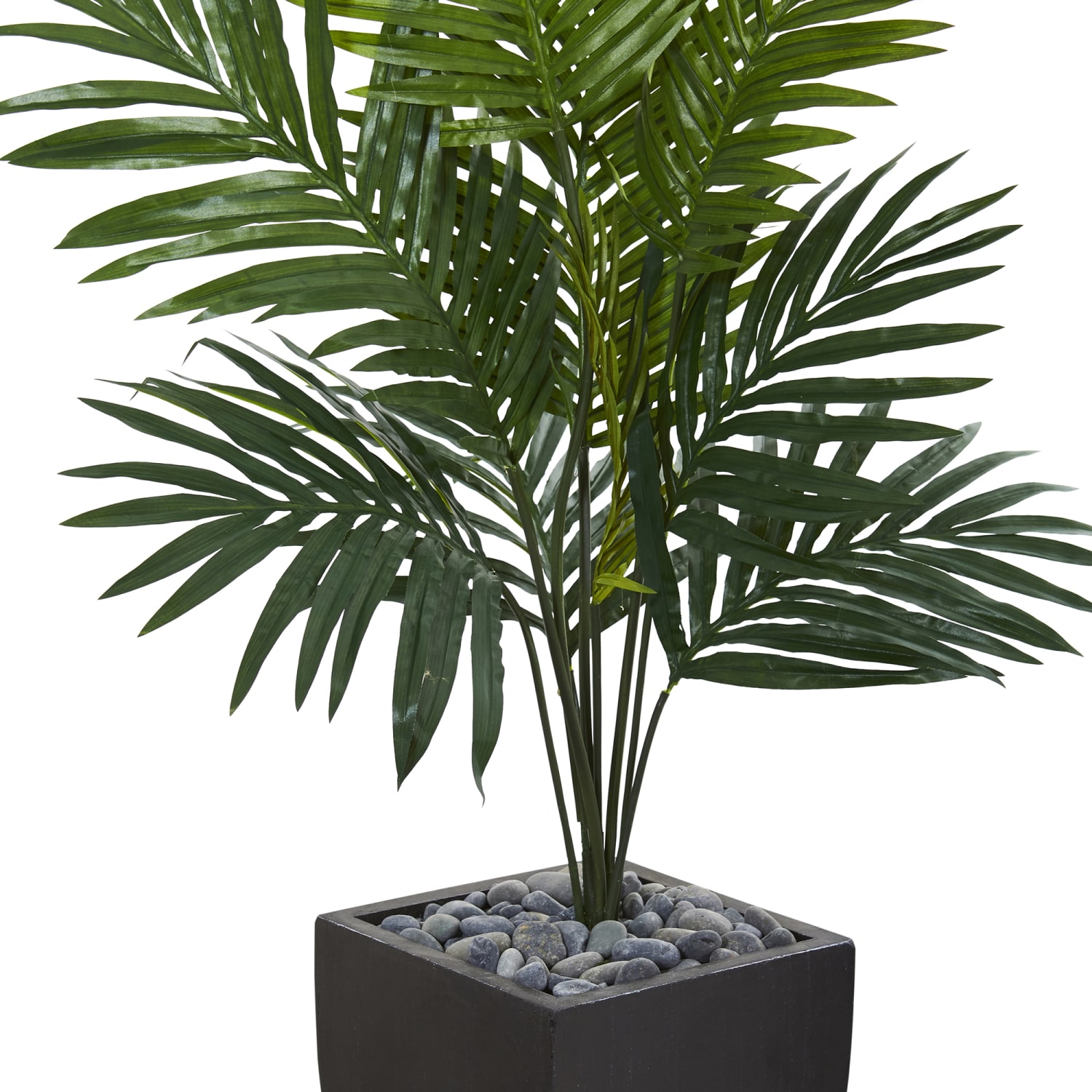Nearly Natural Kentia Palm 54inH Artificial Tree With Planter, 54inH x 32inW x 32inD, Green - Image 4