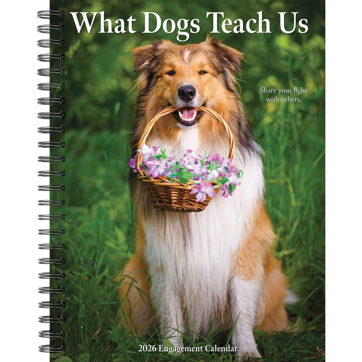 2026 Willow Creek Press Weekly Engagement Calendar, 6-1/2in x 8-1/2in, Pup Perspectives, January To December, 54673 - Image 3