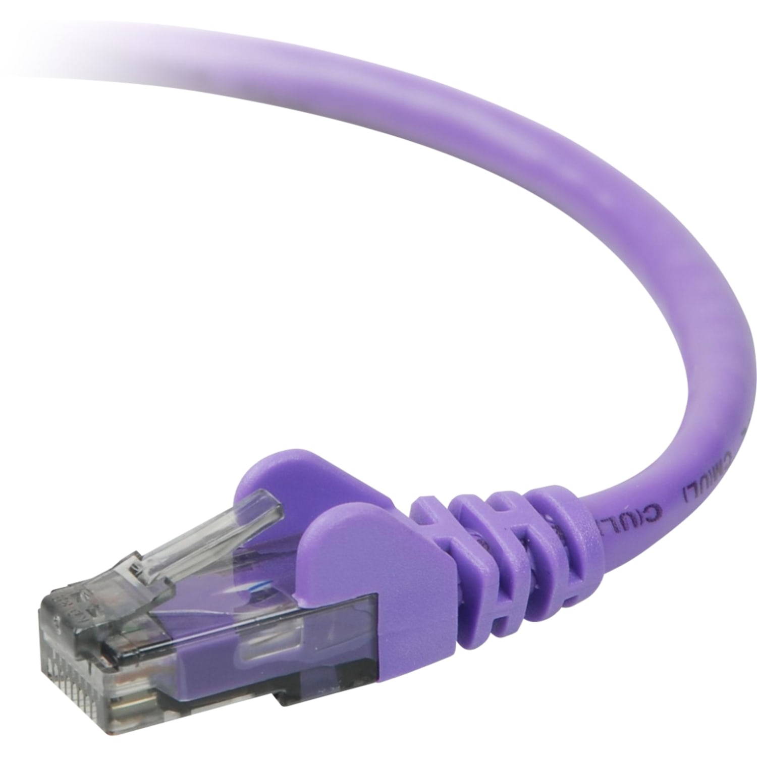 Belkin Cat.6 Patch Cable - RJ-45 Male - RJ-45 Male - 50ft - Purple - Image 3