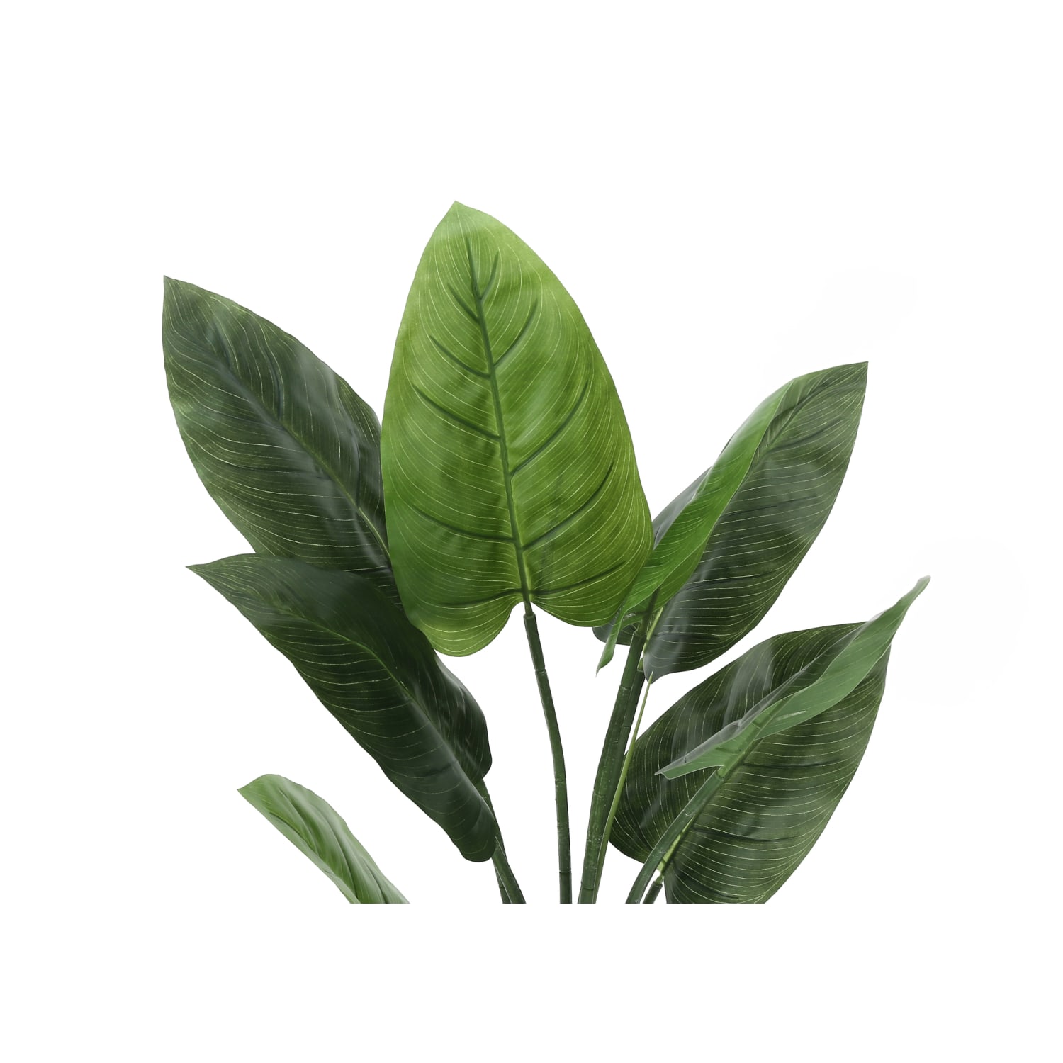 Monarch Specialties Deborah 36-1/2inH Artificial Plant With Pot, 36-1/2inH x 26inW x 24inD, Green - Image 6