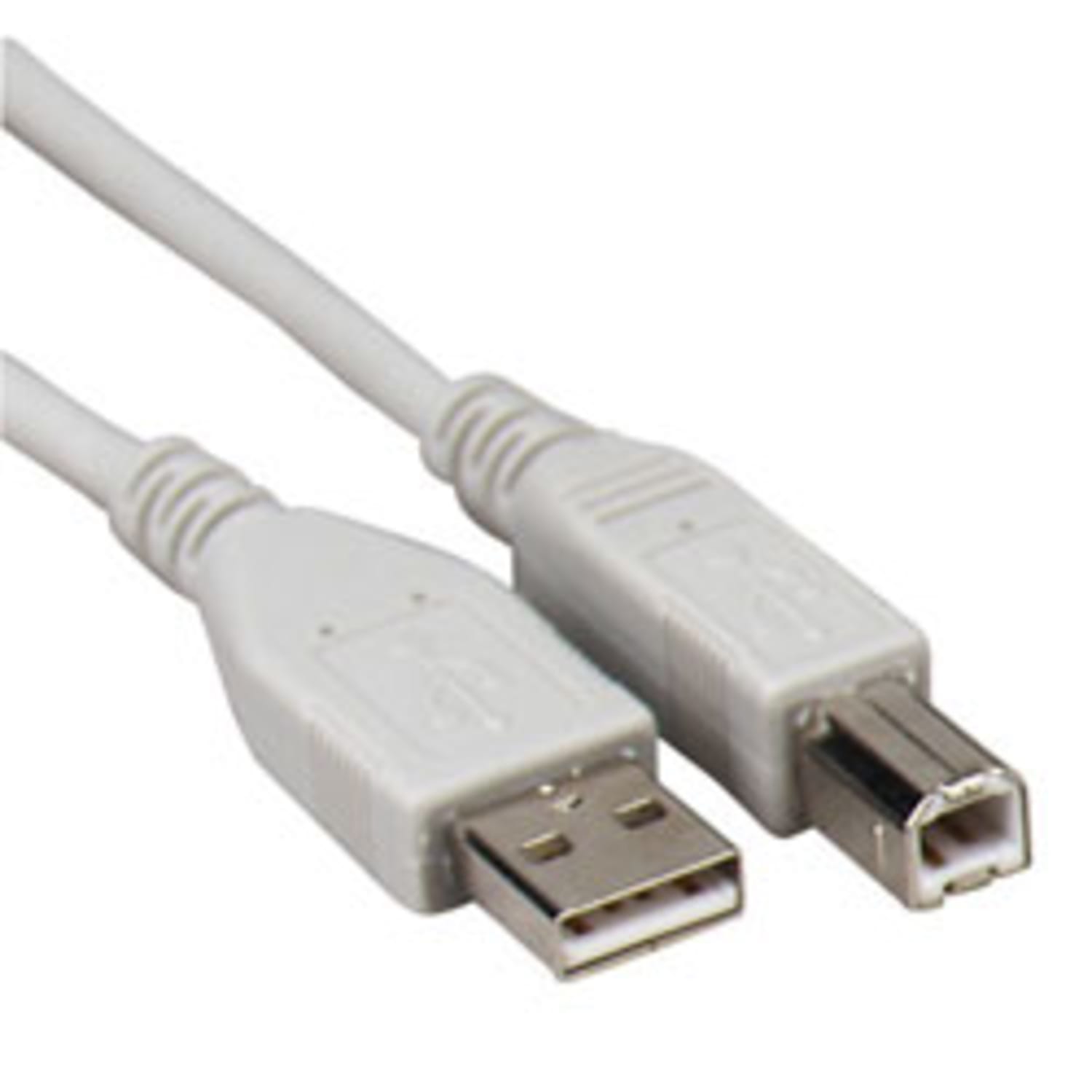 Compucessory USB 2.0 A-B Printer Cables - 6 ft USB Data Transfer Cable - First End: 1 x USB Type A - Male - Second End: 1 x USB Type B - Male - Gray - 1 Each - Image 4
