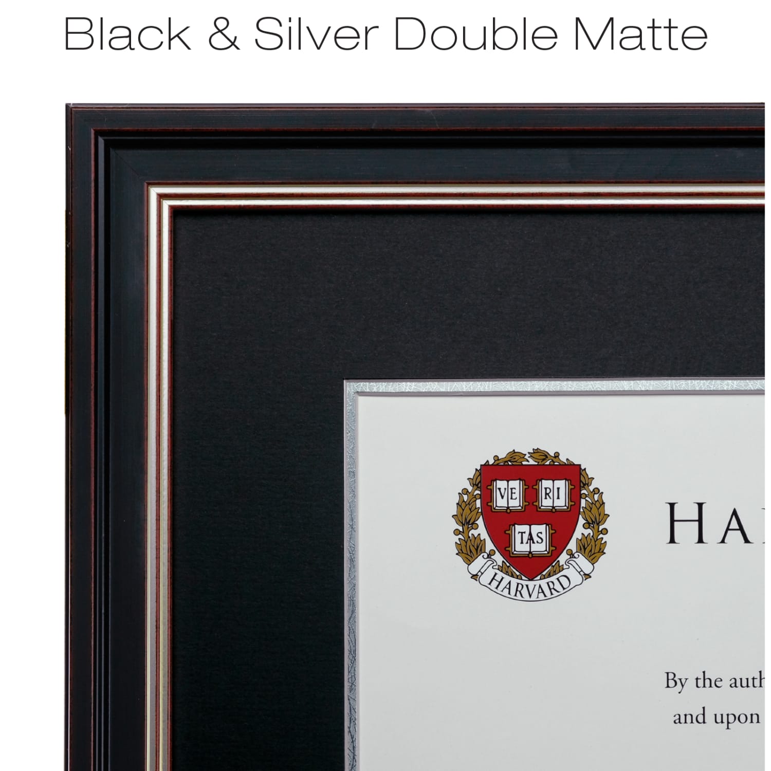 Excello Wood Photo/Document Frame, Double Mat, 17-1/2in x 20-1/2in (Matted To 11in x 14in), Black/Silver - Image 4