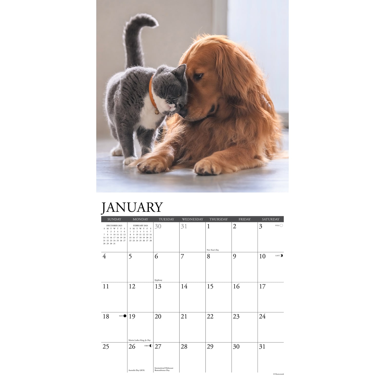 2026 Willow Creek Press Animals Monthly Wall Calendar, 12in x 12in, Cats & Dogs, January To December, 50620 - Image 3