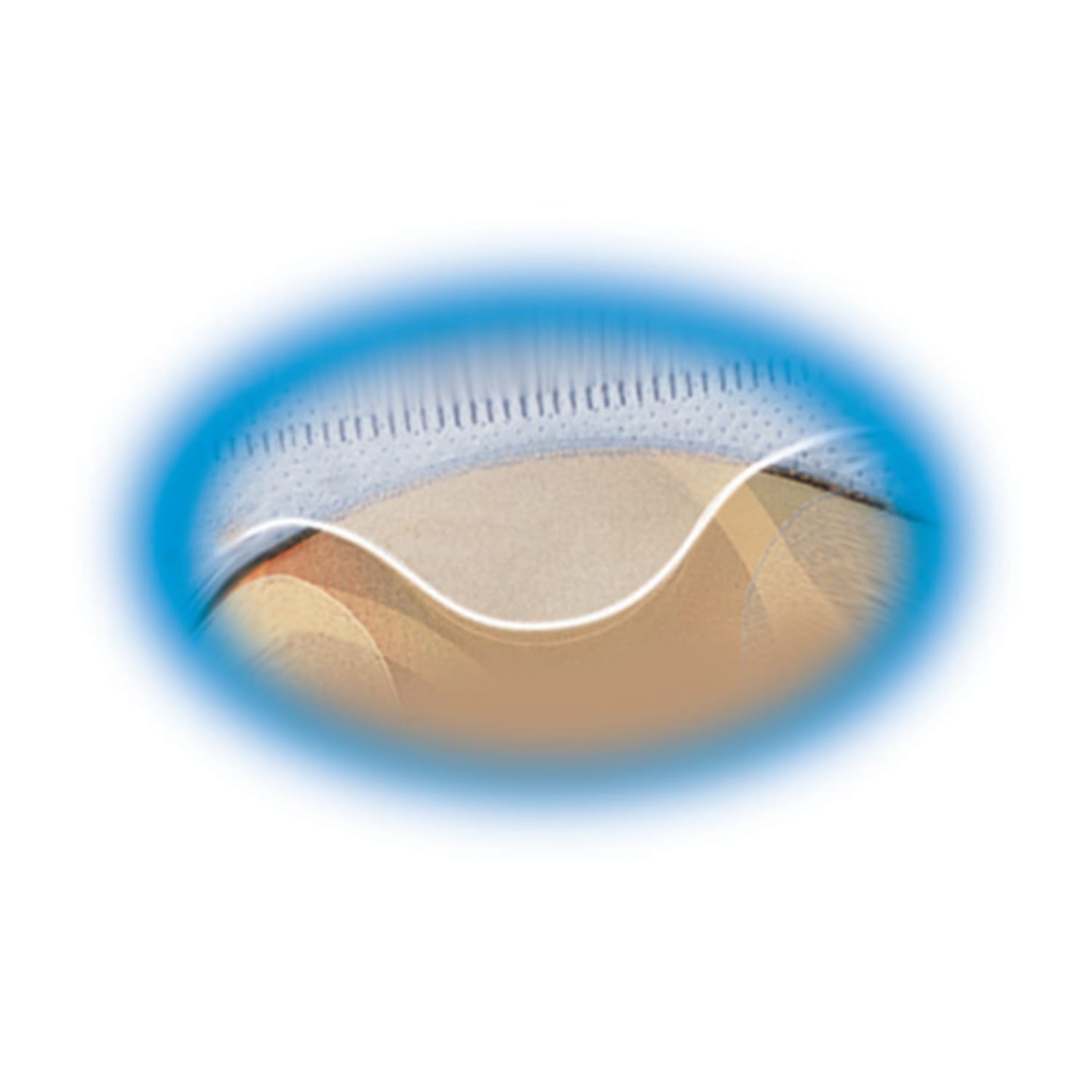Avery CD Sheet-Protector Pages, Clear, Pack Of 5 - Image 6