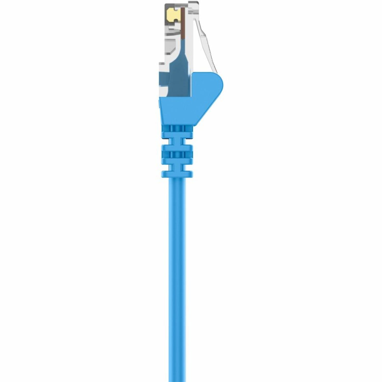 Belkin Cat6 Cable - RJ-45 Male - RJ-45 Male - 40ft - Blue - Image 5