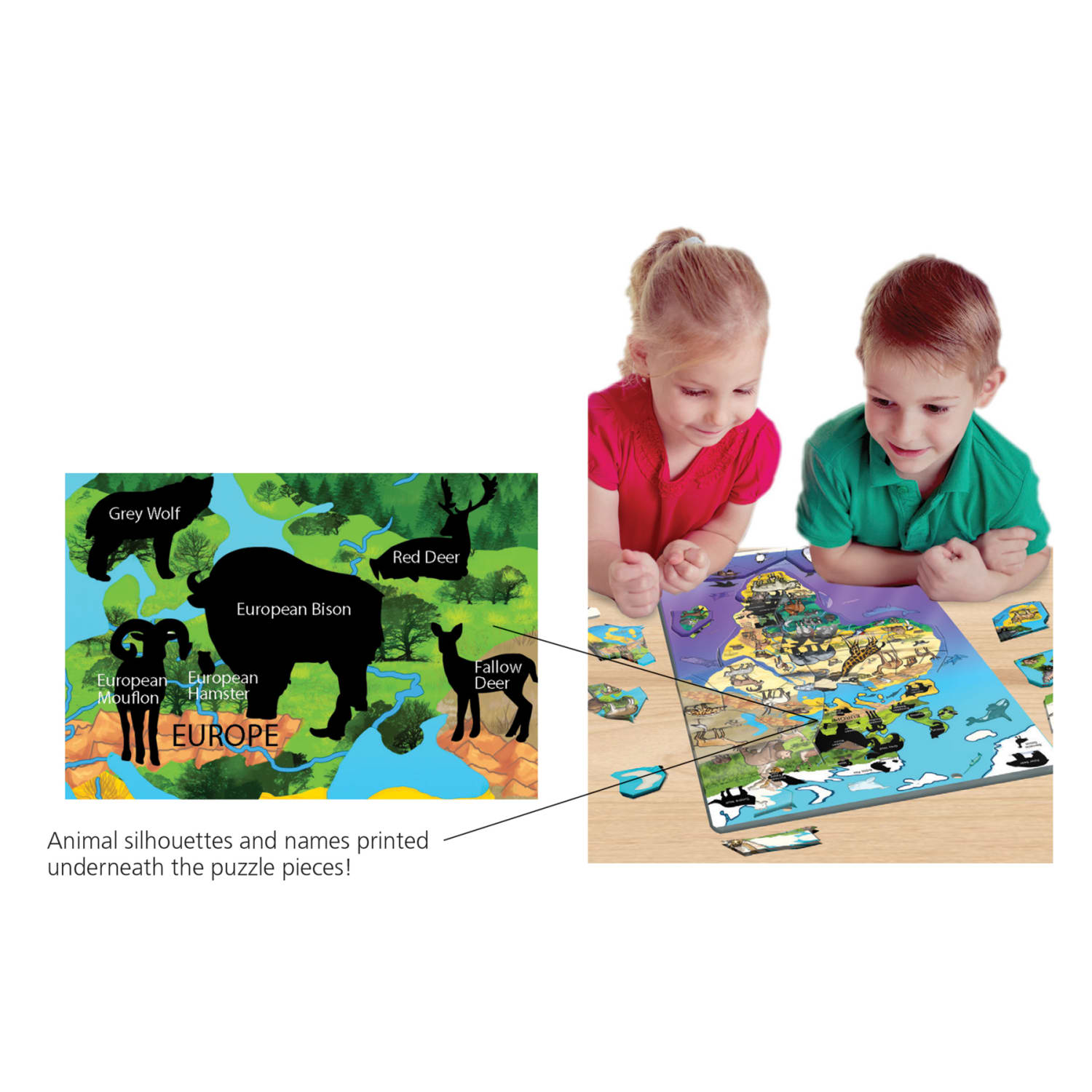 Dowling Magnets Animal Magnetism Magnetic Wildlife Map Puzzle, Asia & Australia - Image 4