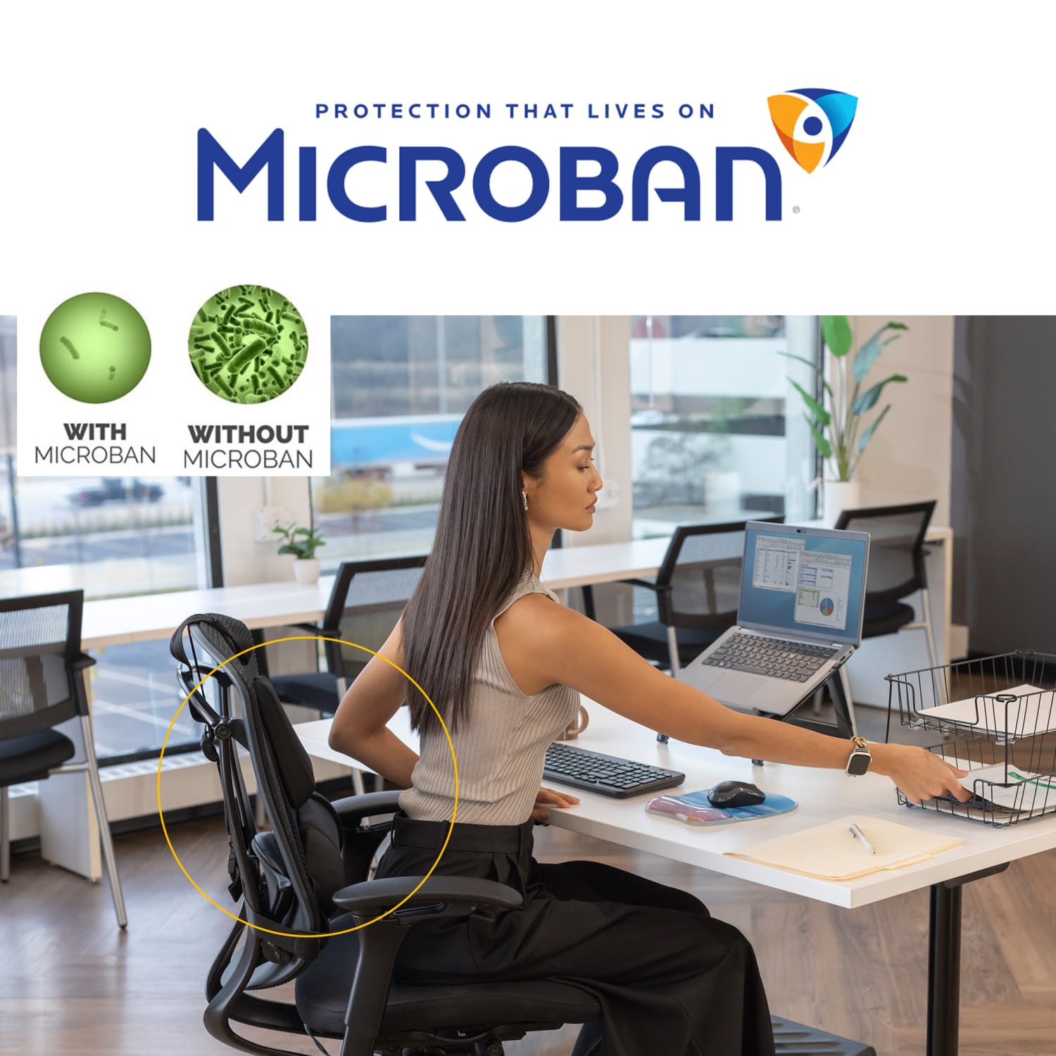 Fellowes Professional Series Back Support with Microban Protection Black PopularChairscom Fellowes Professional Series Back Support with Microban Protection Black PopularChairscom