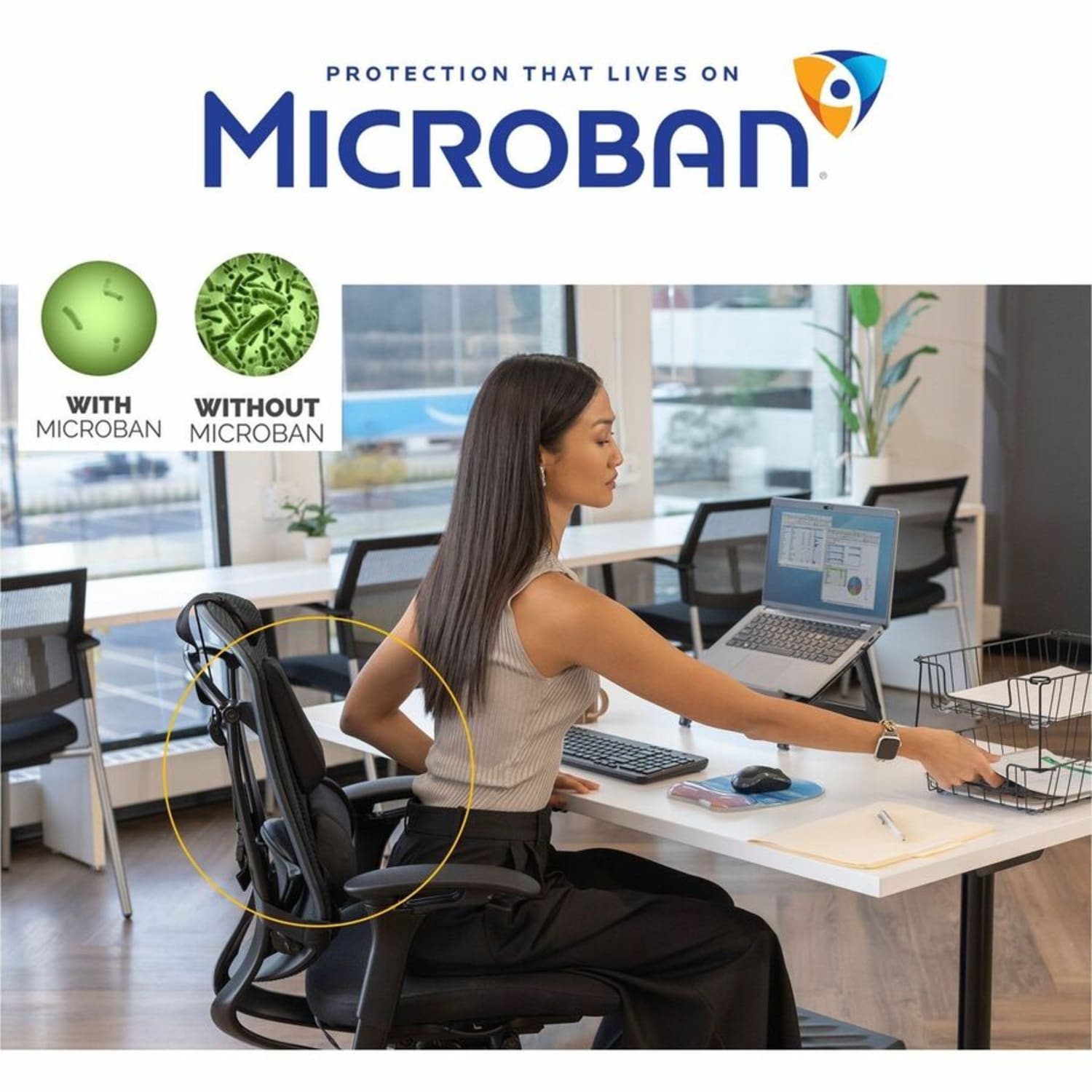 Fellowes Professional Series Back Support with Microban Protection Black PopularChairscom Fellowes Professional Series Back Support with Microban Protection Black PopularChairscom