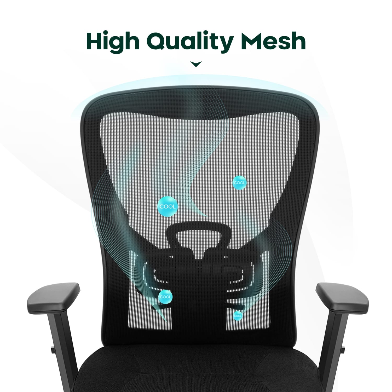 ALPHA HOME Ergonomic Fabric Mid Back Office Task Chair With Lumbar Support Black PopularChairscom