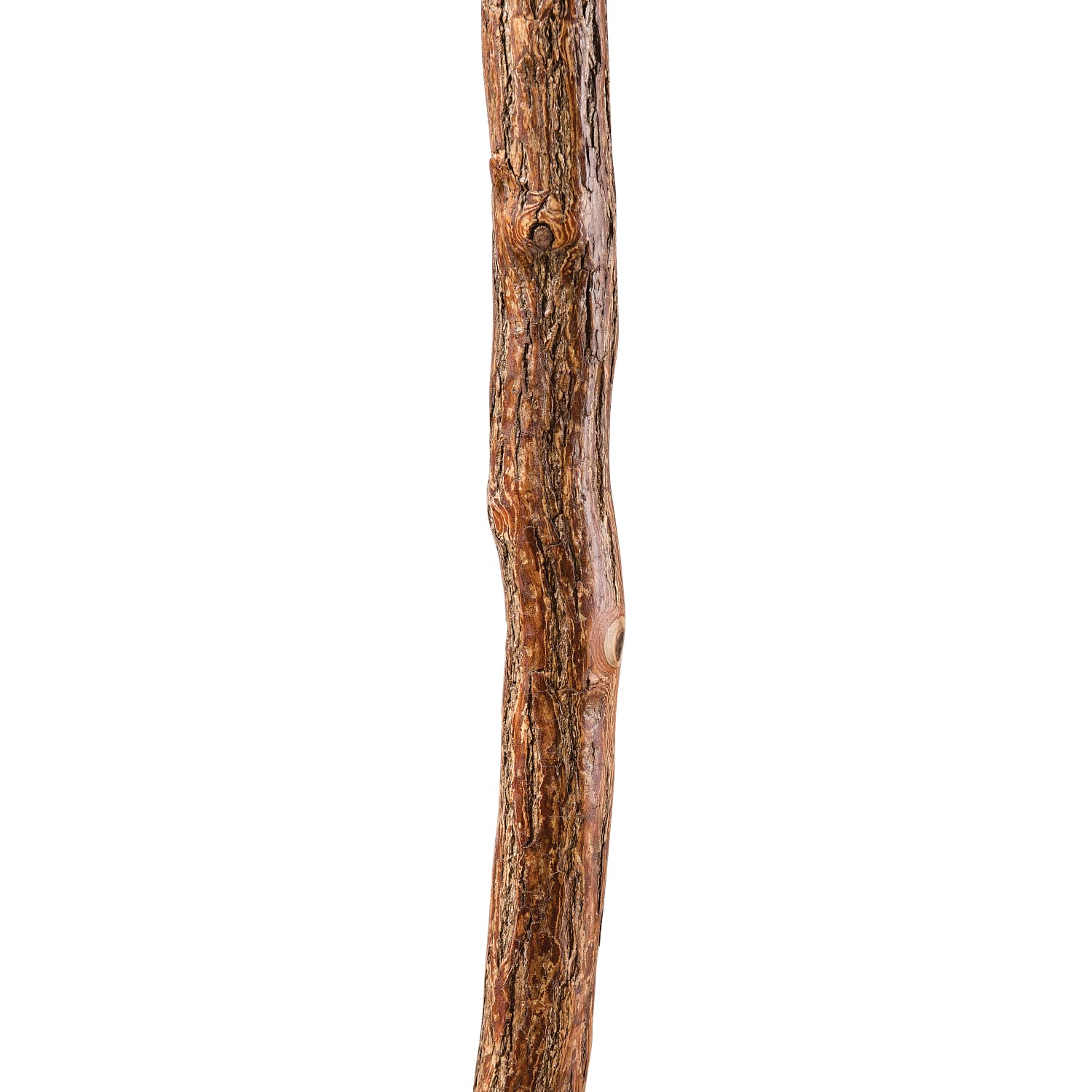 Brazos Walking Sticks Free Form Sassafras Walking Stick, 55in - Image 4