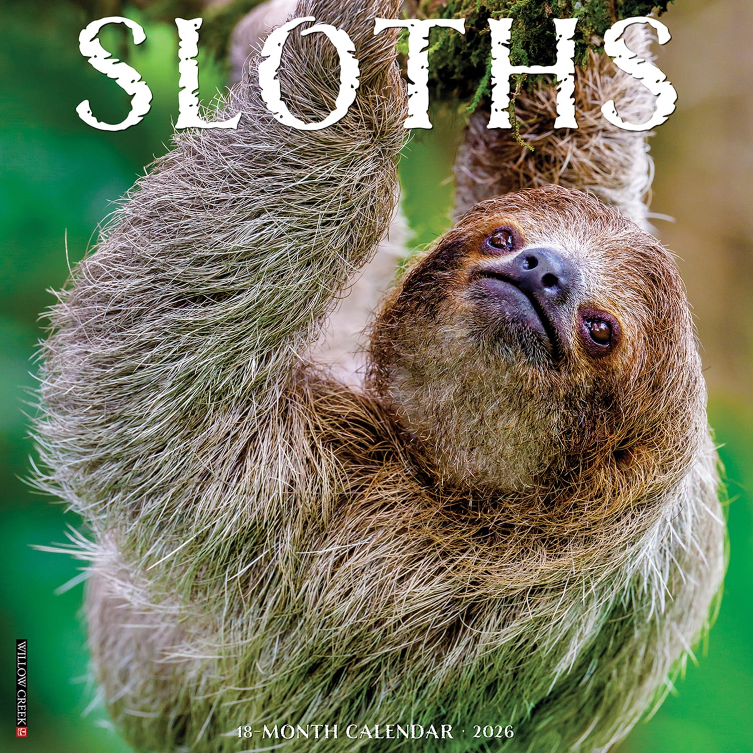 2026 Willow Creek Press Animals Monthly Wall Calendar, 12in x 12in, Sloths, January To December, 52846