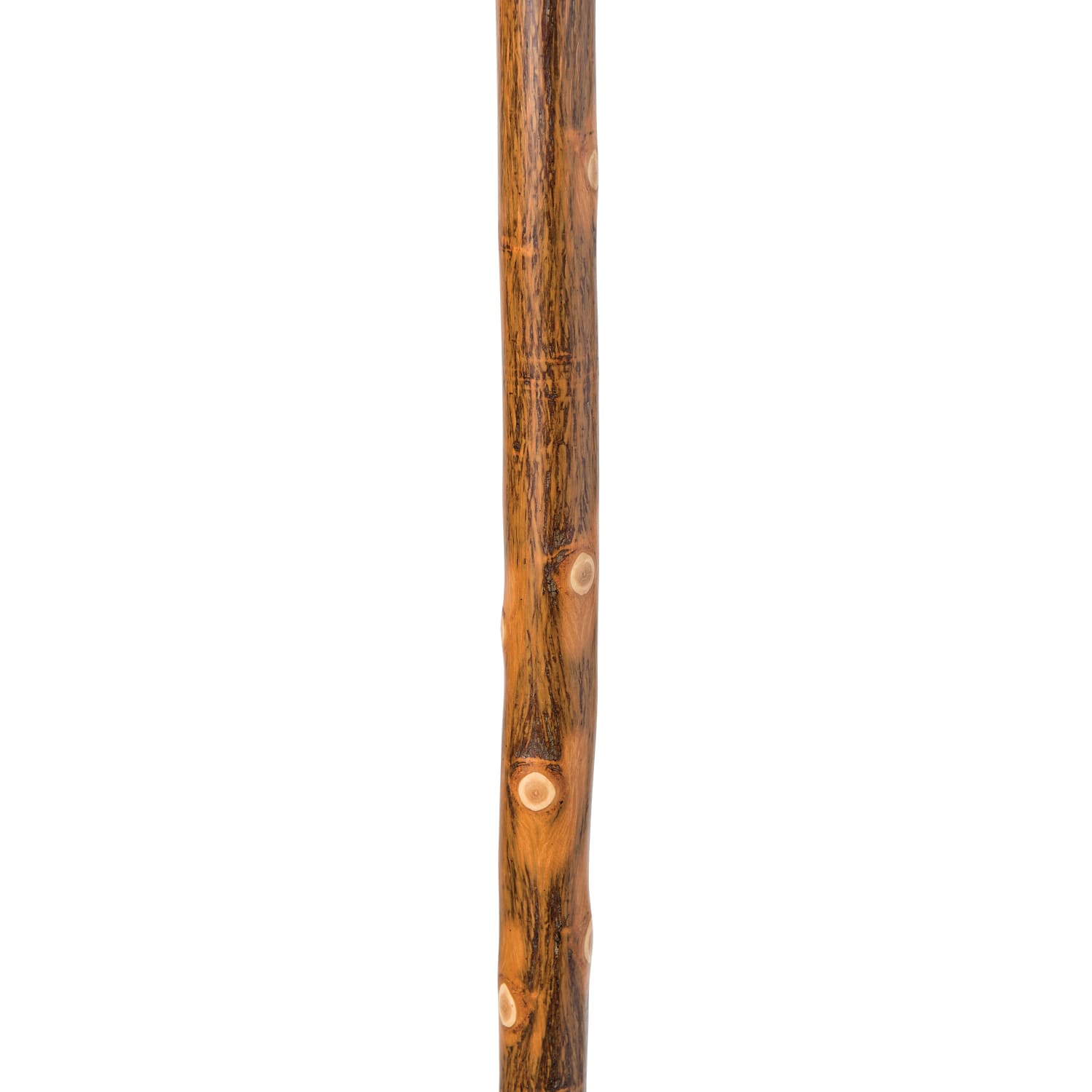 Brazos Walking Sticks Free Form Safari Wood Walking Stick, 55in - Image 4