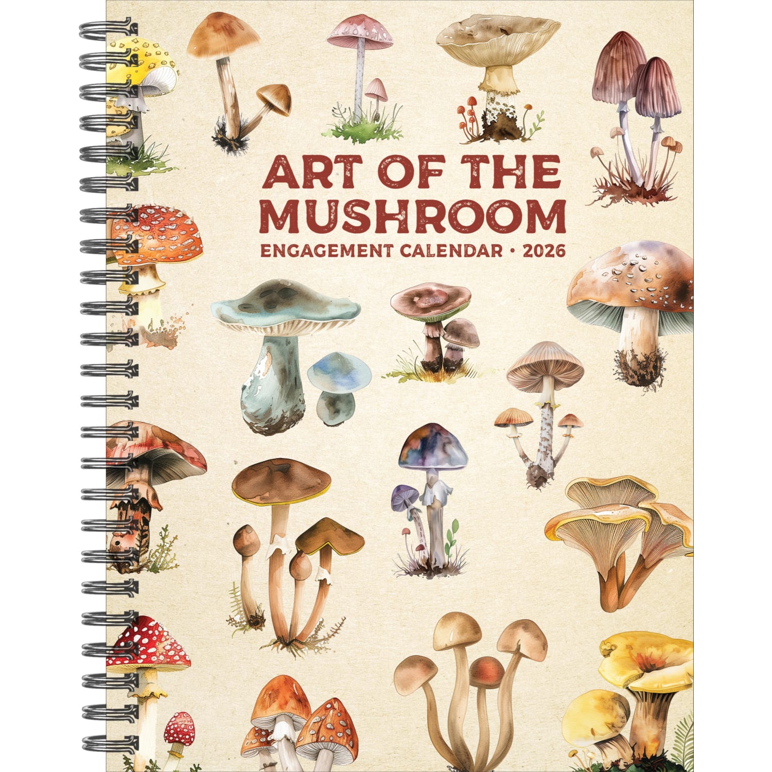 2026 Willow Creek Press Weekly Engagement Calendar, 6-1/2in x 8-1/2in, Art of the Mushroom, January To December, 54567 - Image 3