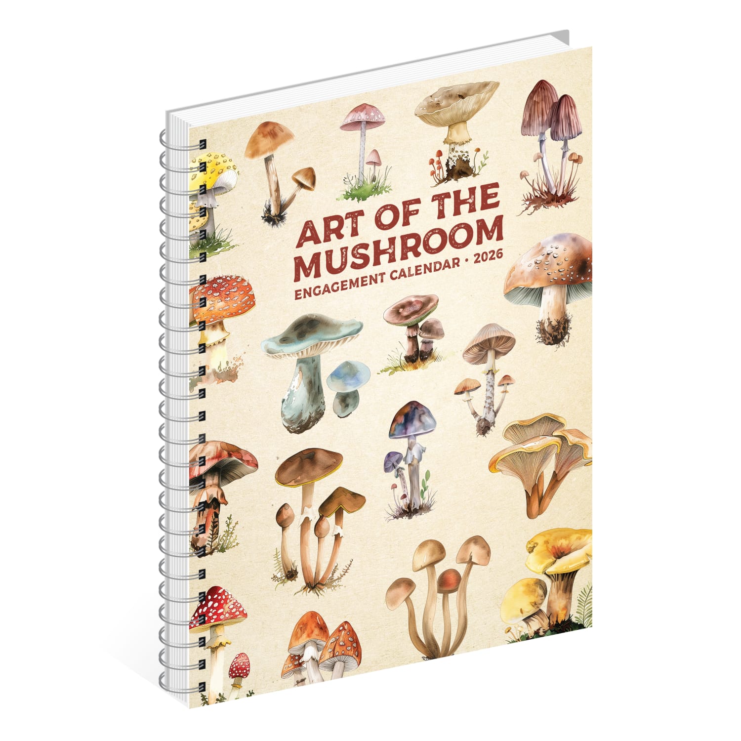 2026 Willow Creek Press Weekly Engagement Calendar, 6-1/2in x 8-1/2in, Art of the Mushroom, January To December, 54567 - Image 4