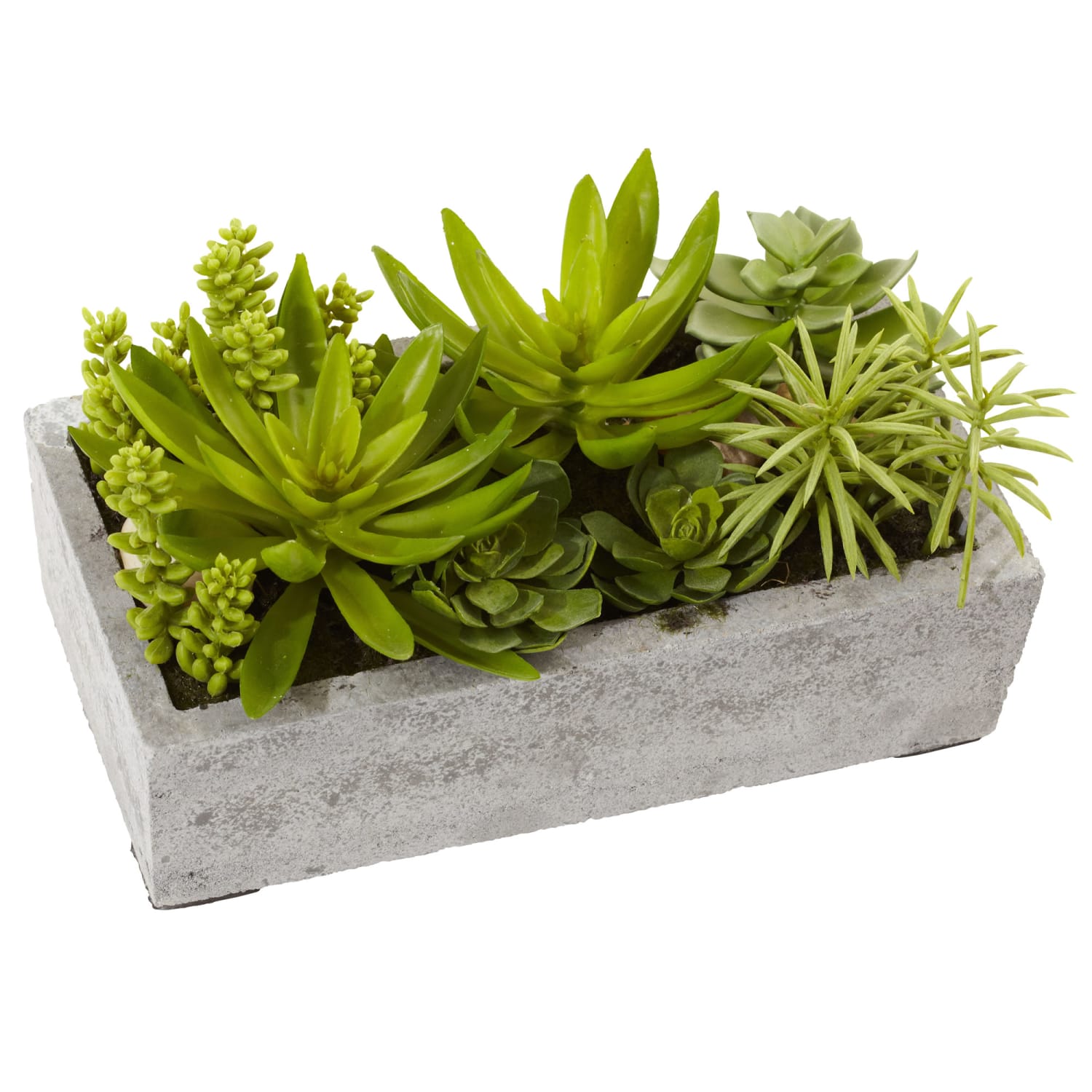 Nearly Natural Succulent 6-1/2inH Plastic Plant Garden With Concrete Planter, 6-1/2inH x 12-3/4inW x 8-1/2inD, Green