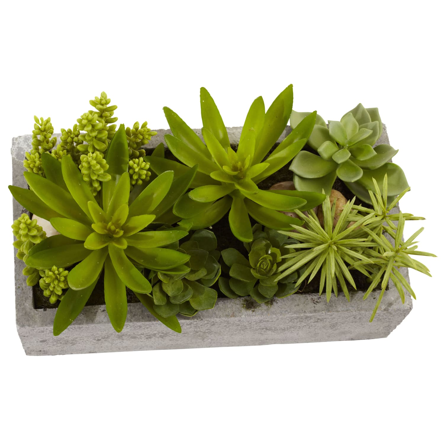 Nearly Natural Succulent 6-1/2inH Plastic Plant Garden With Concrete Planter, 6-1/2inH x 12-3/4inW x 8-1/2inD, Green - Image 3