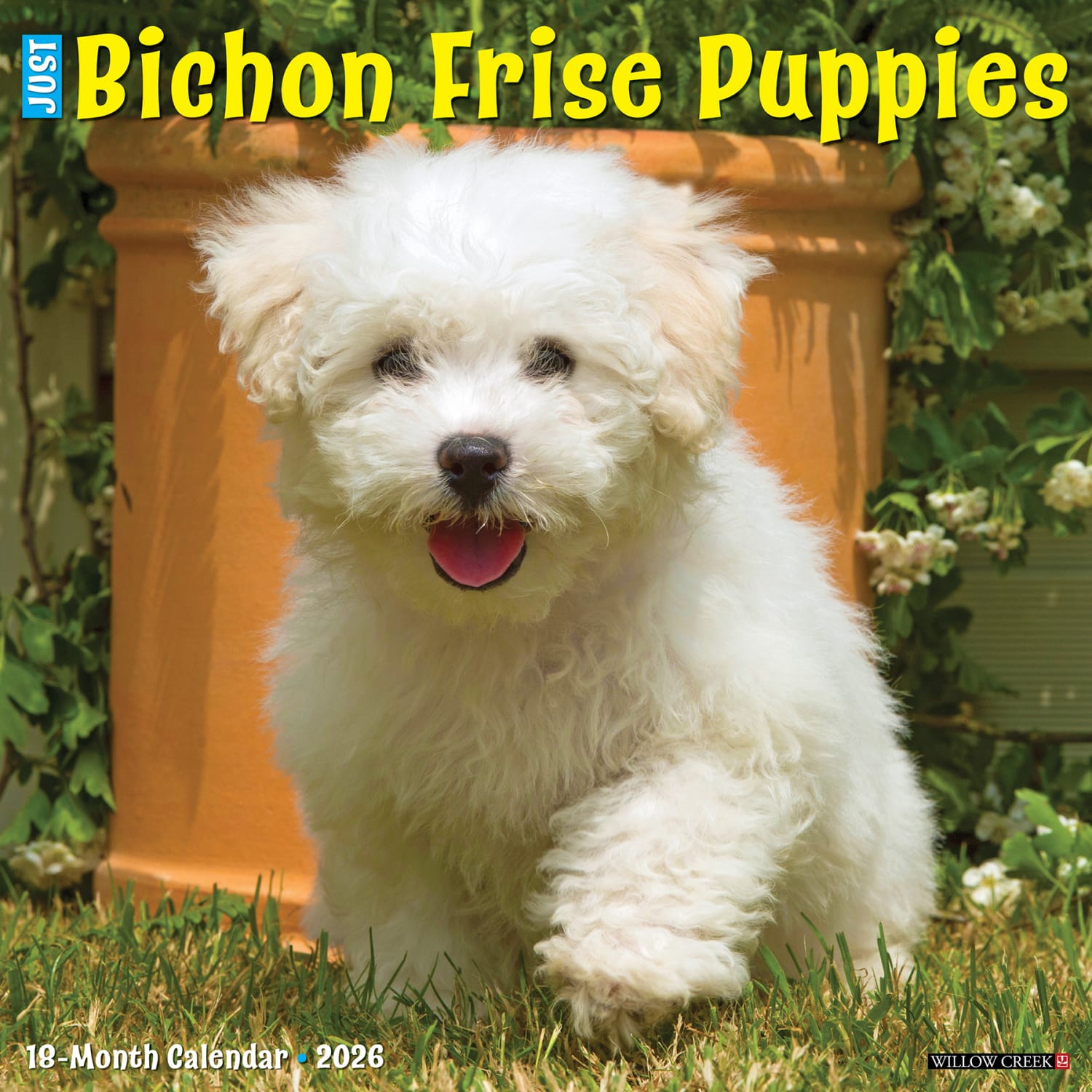 2026 Willow Creek Press Animals Monthly Wall Calendar, 12in x 12in, Bichon Frise Puppies, January To December, 50231 - Image 3