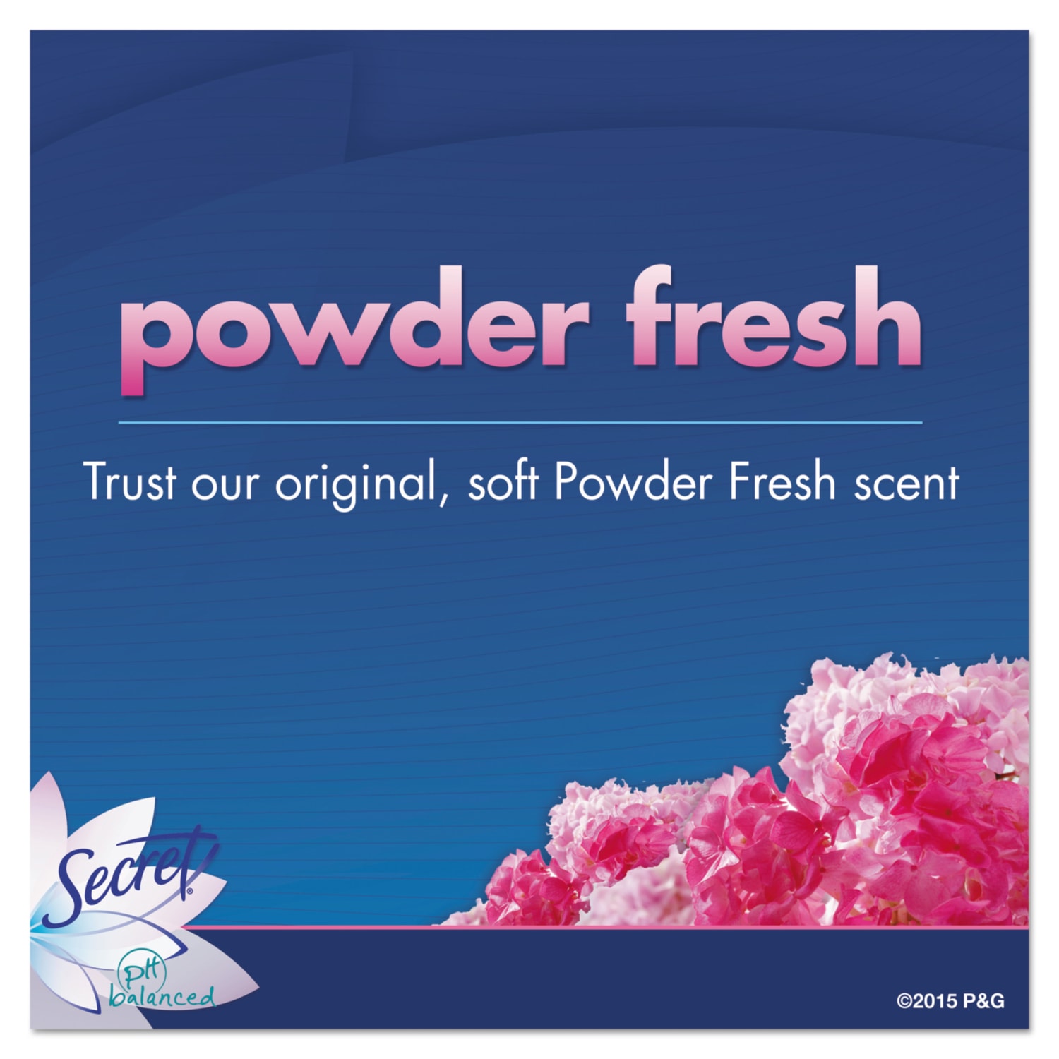 Secret Invisible Solid Anti-Perspirant And Deodorant Sticks, Powder Fresh, 0.5 Oz, Pack Of 24 Sticks - Image 6