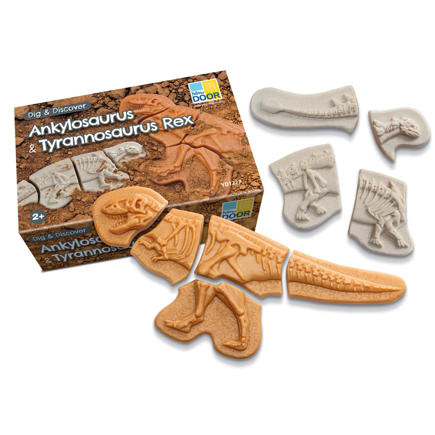 Yellow Door Dig and Discover, Ankylosaurus & Tyrannosaurus Rex